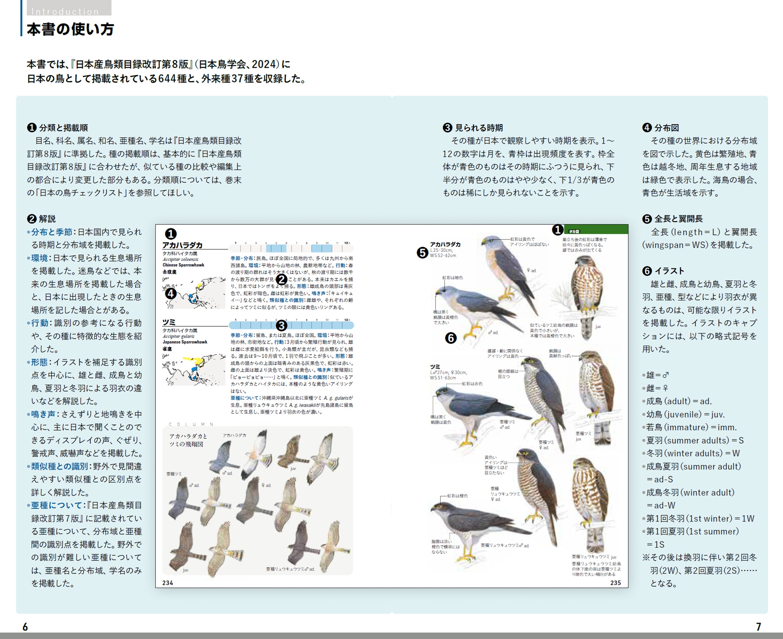 サムネイル画像4