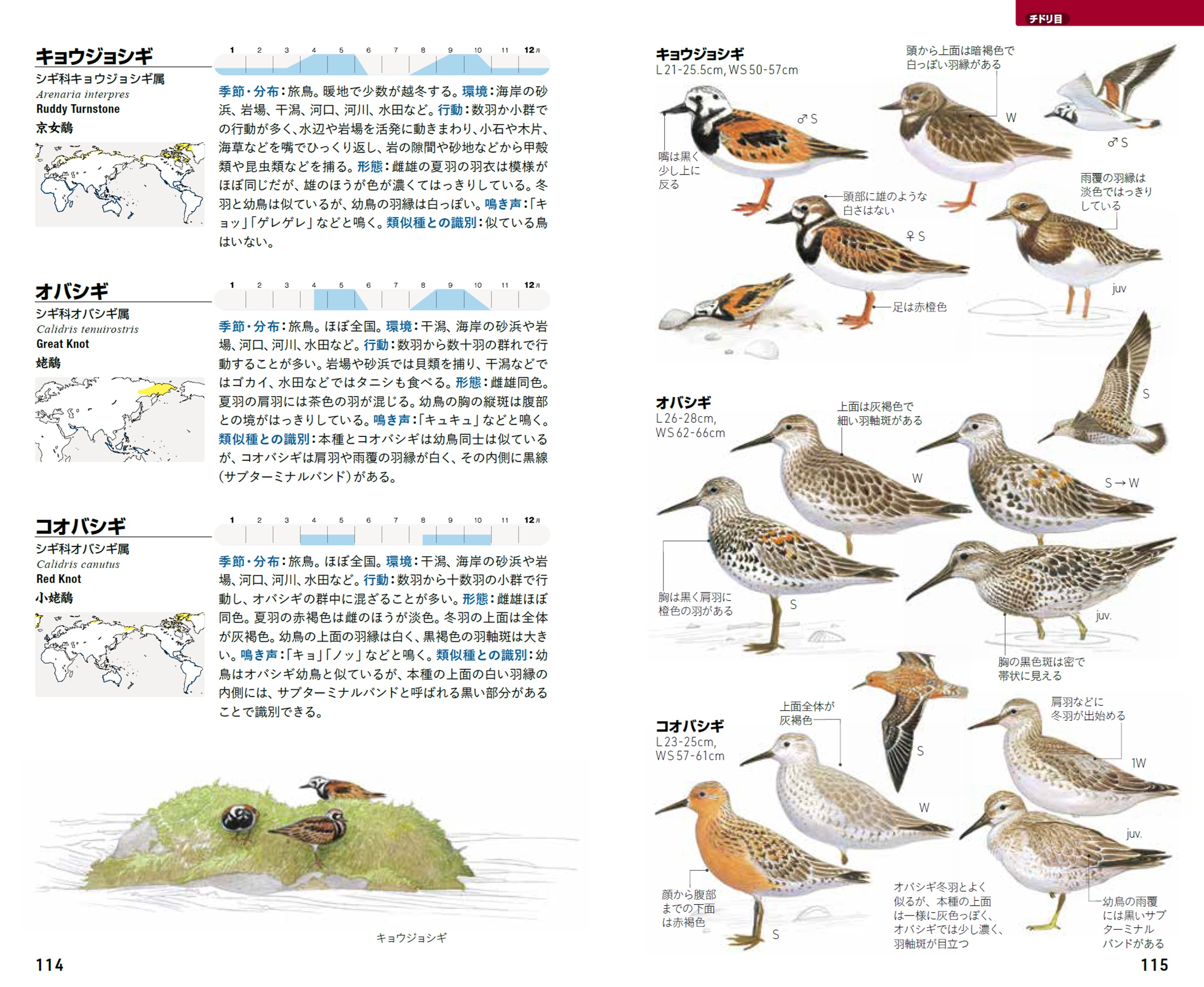 サムネイル画像6