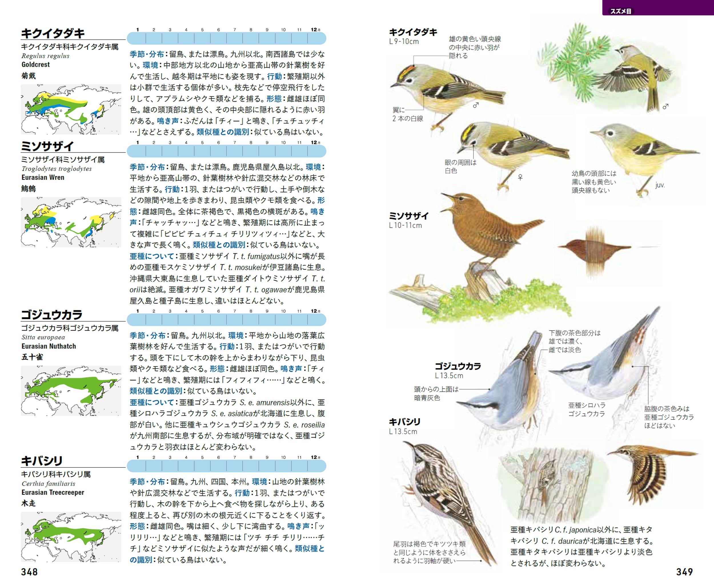 サムネイル画像8