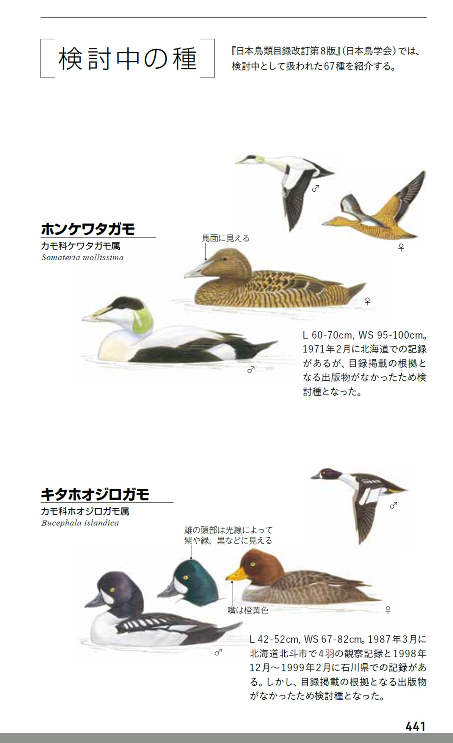 サムネイル画像9