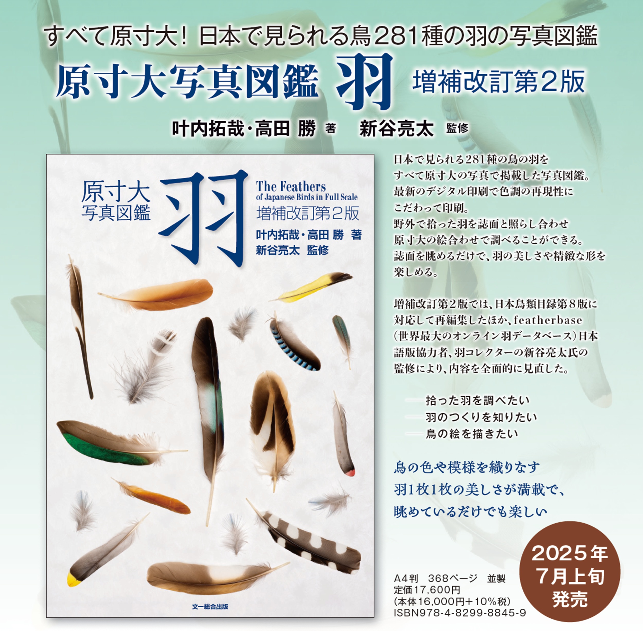 サムネイル画像1