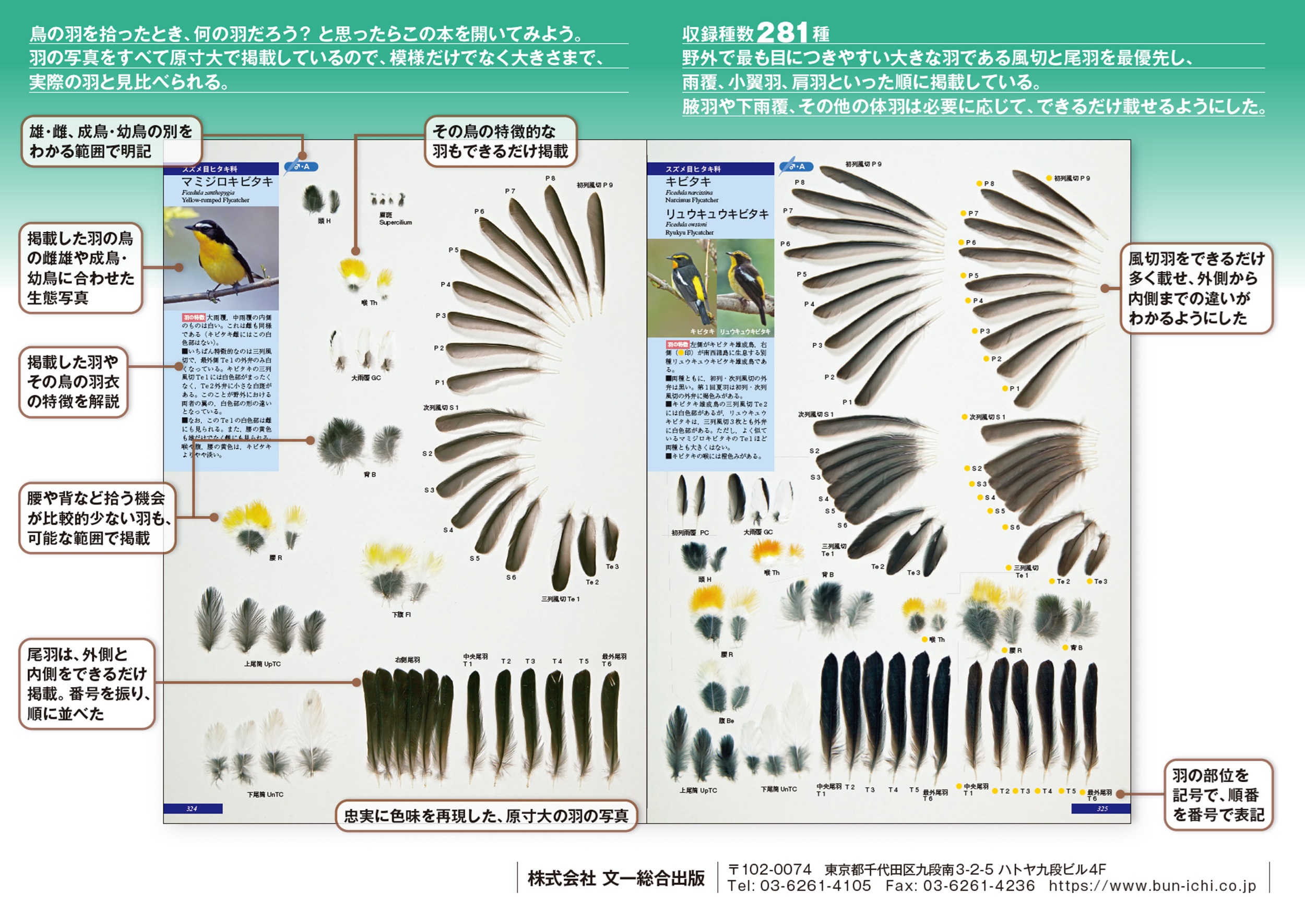 サムネイル画像2