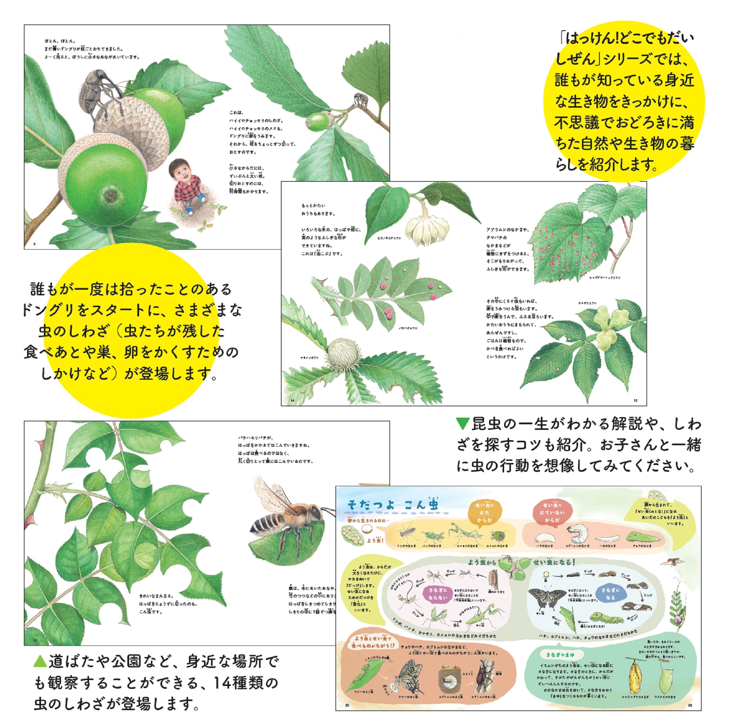 サムネイル画像2