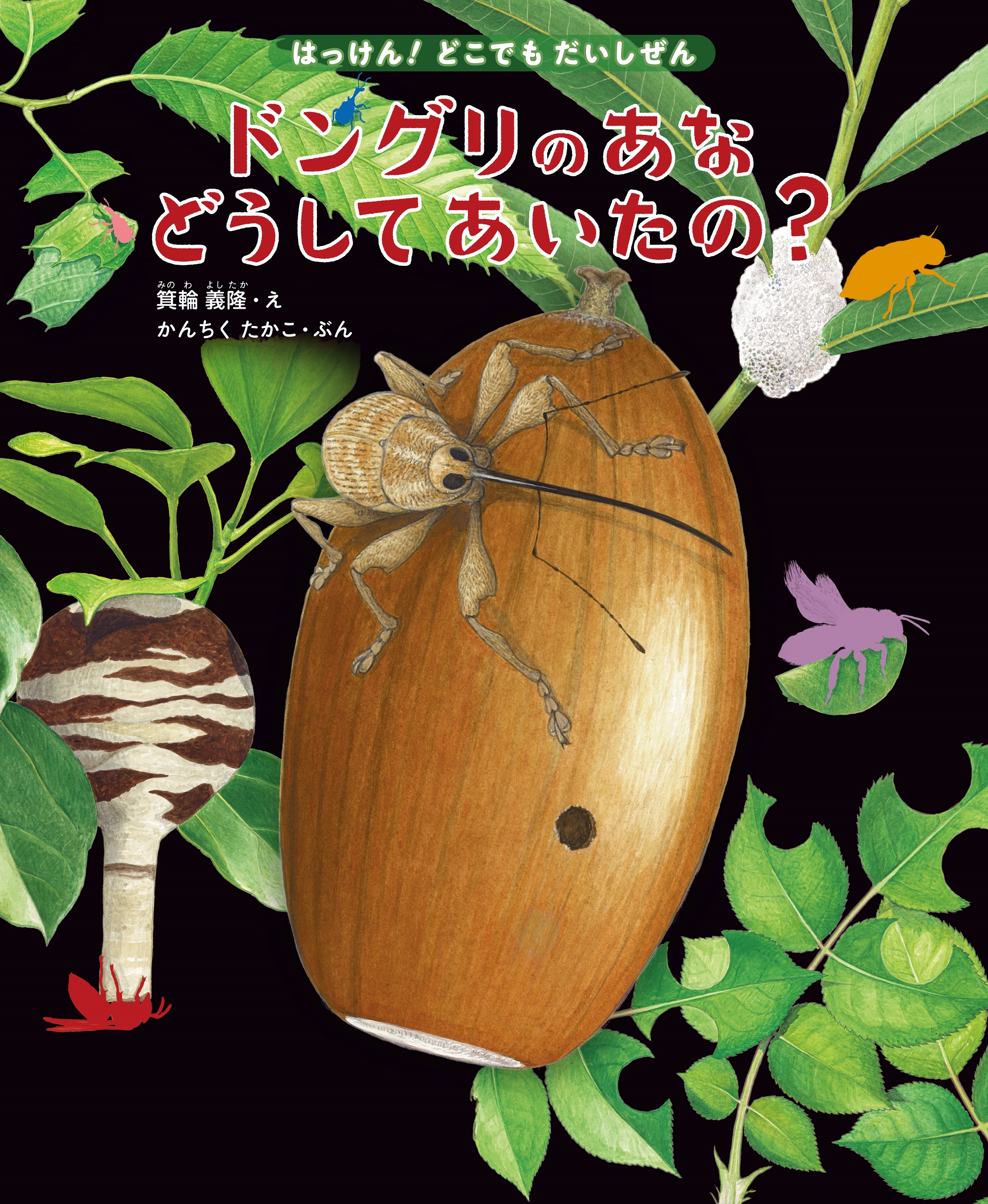 サムネイル画像3