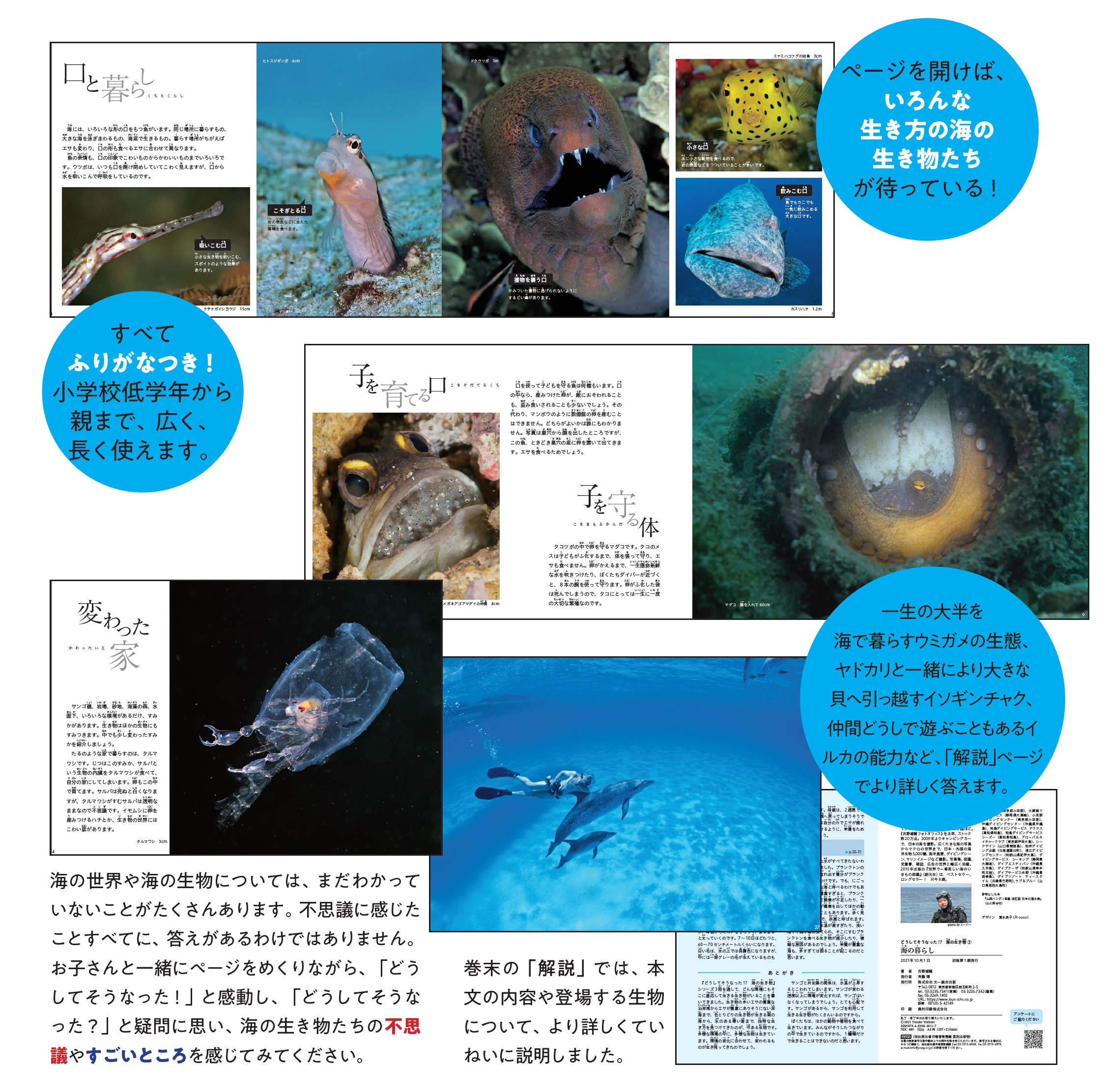 サムネイル画像2