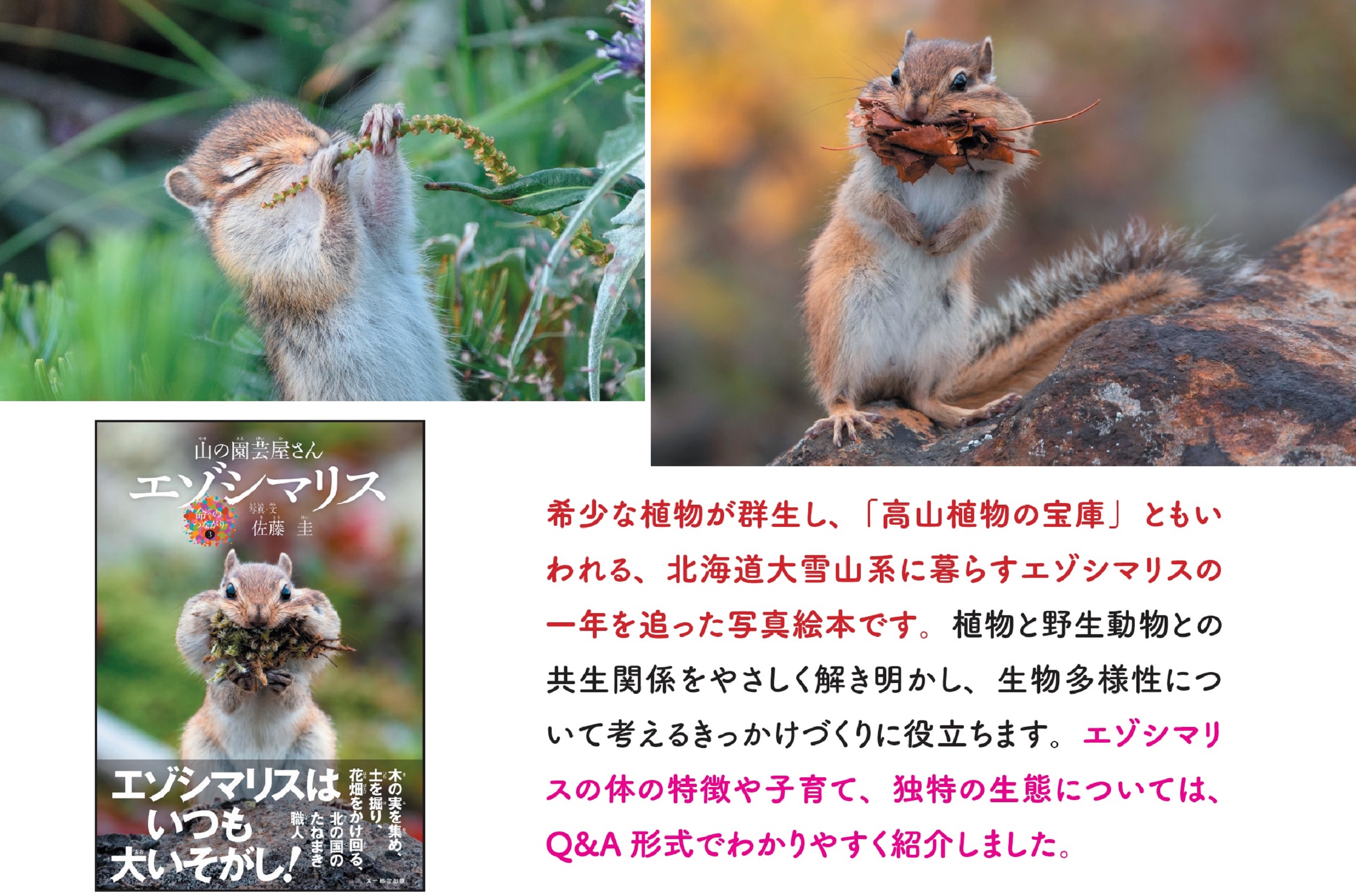 サムネイル画像2