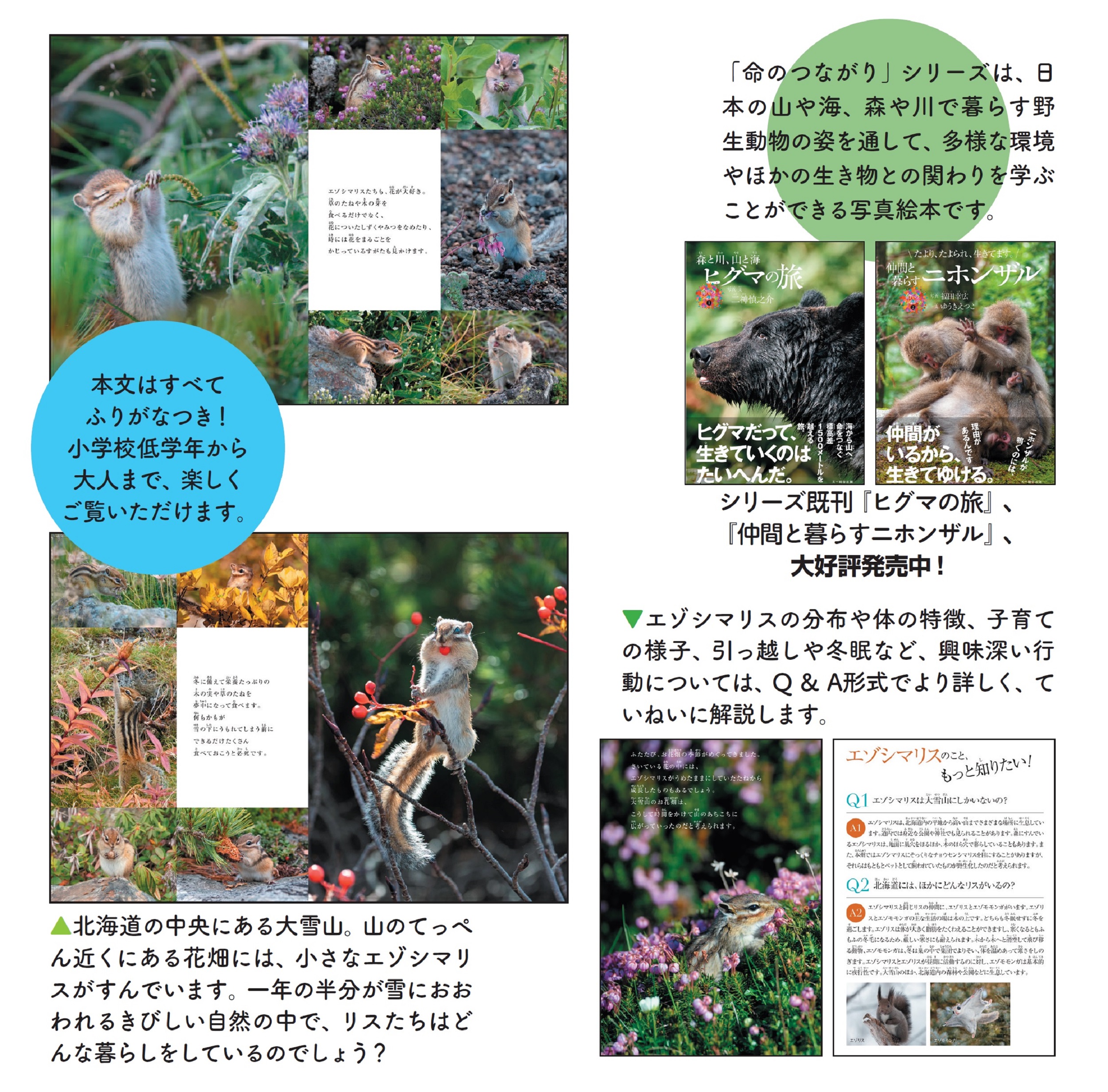 サムネイル画像3