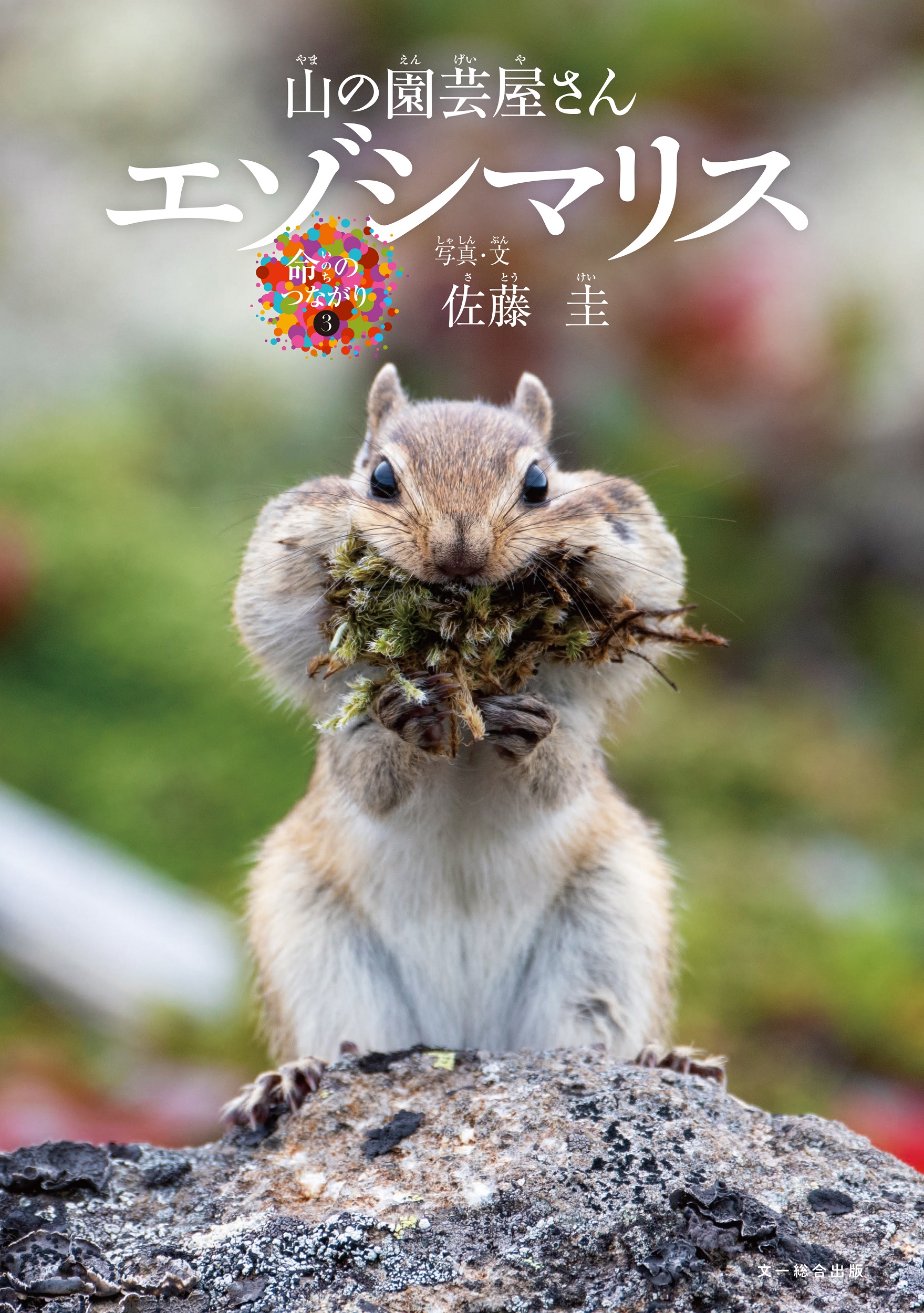 サムネイル画像4