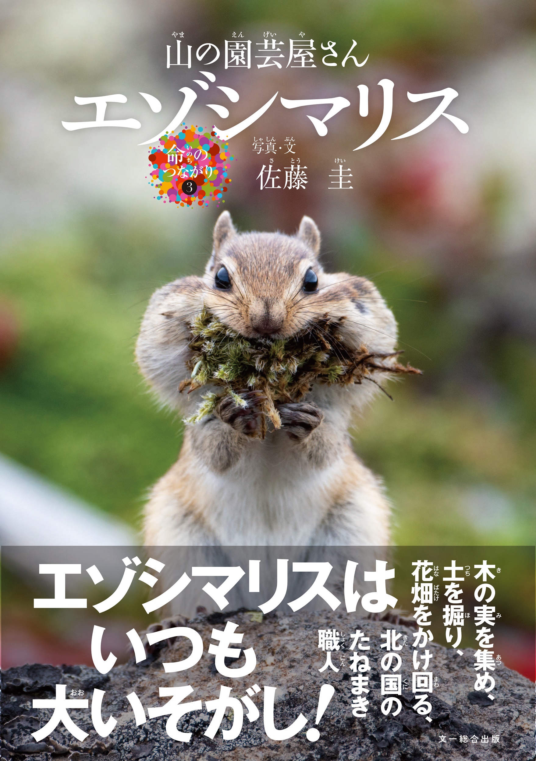 メイン画像