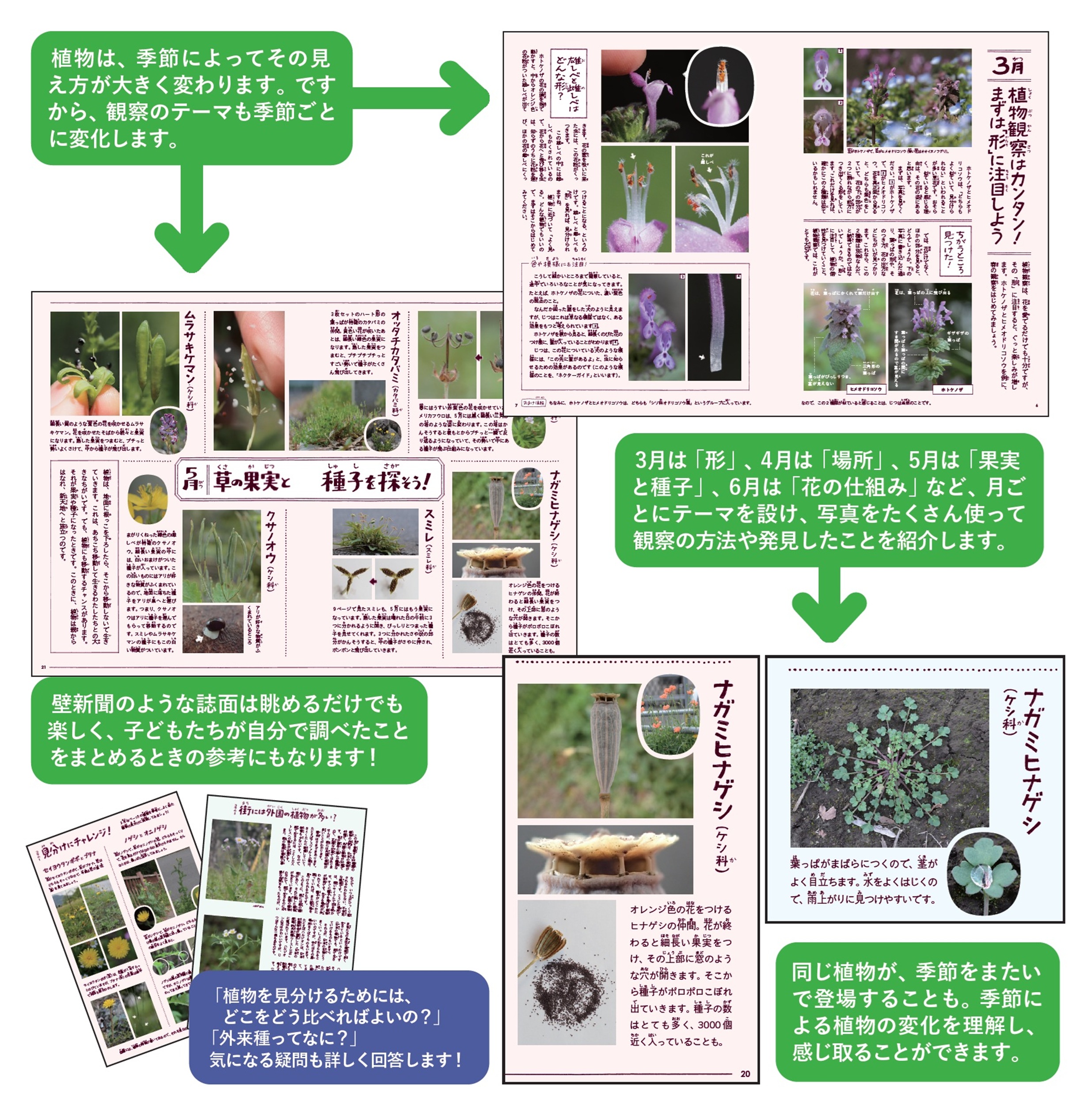 サムネイル画像2