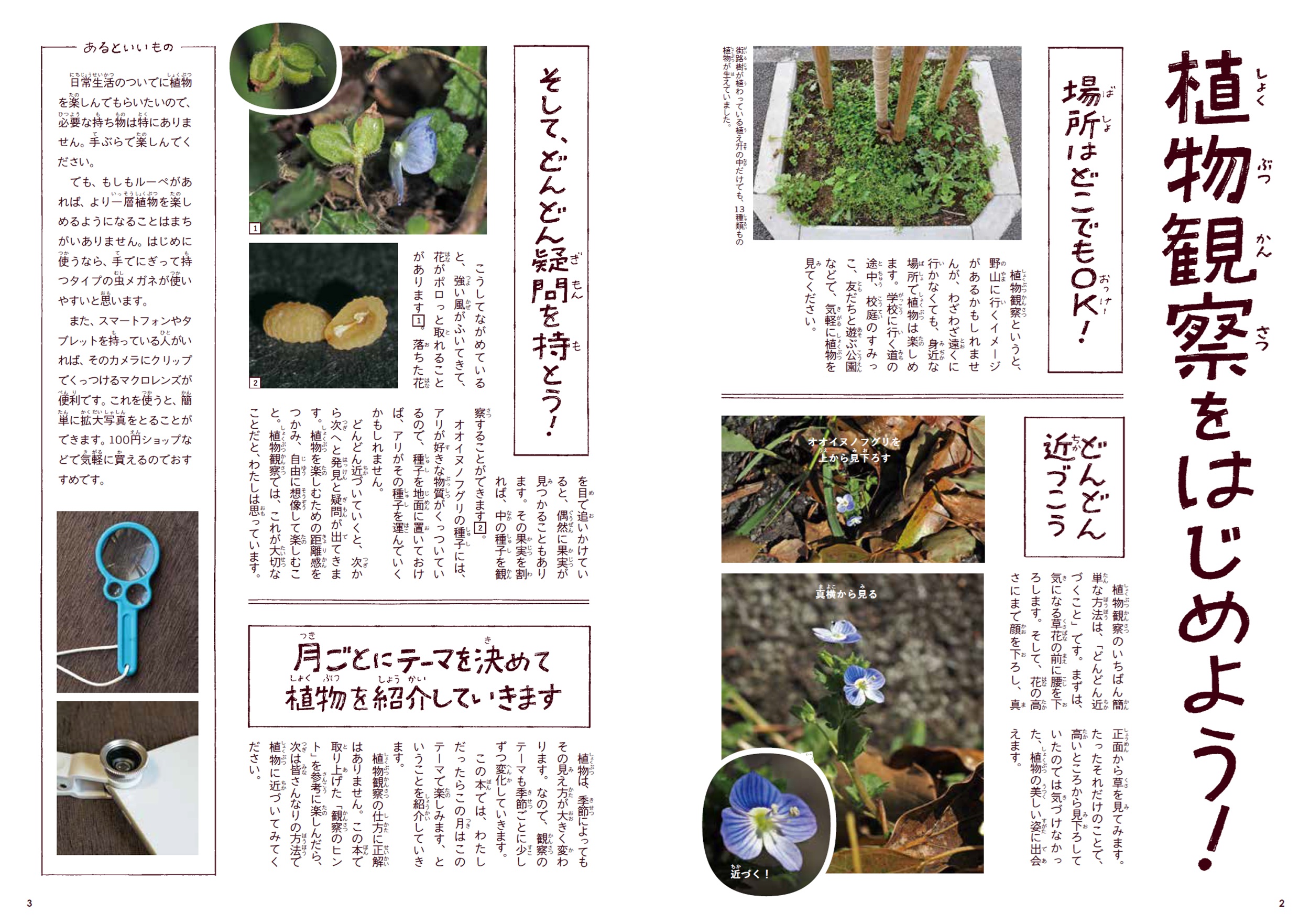 サムネイル画像4