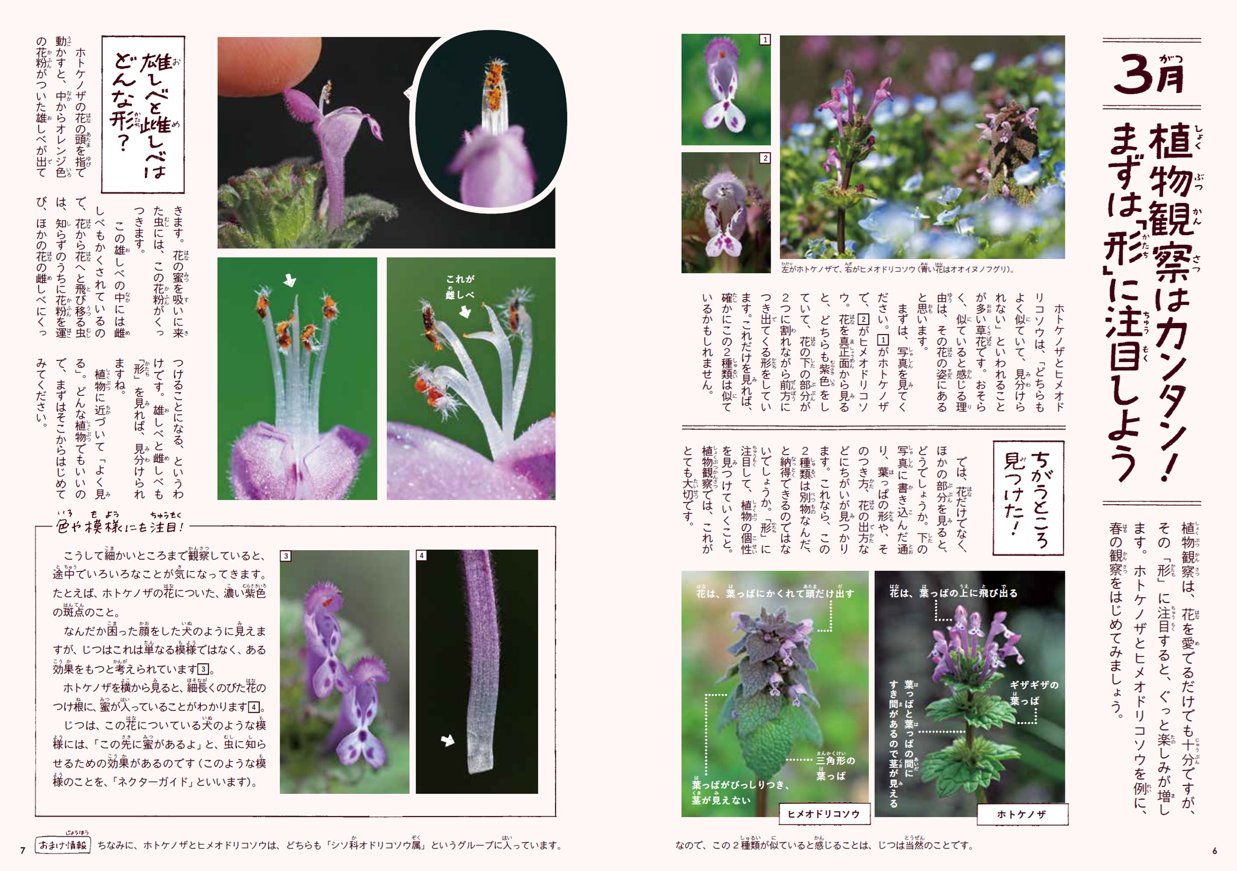 サムネイル画像6