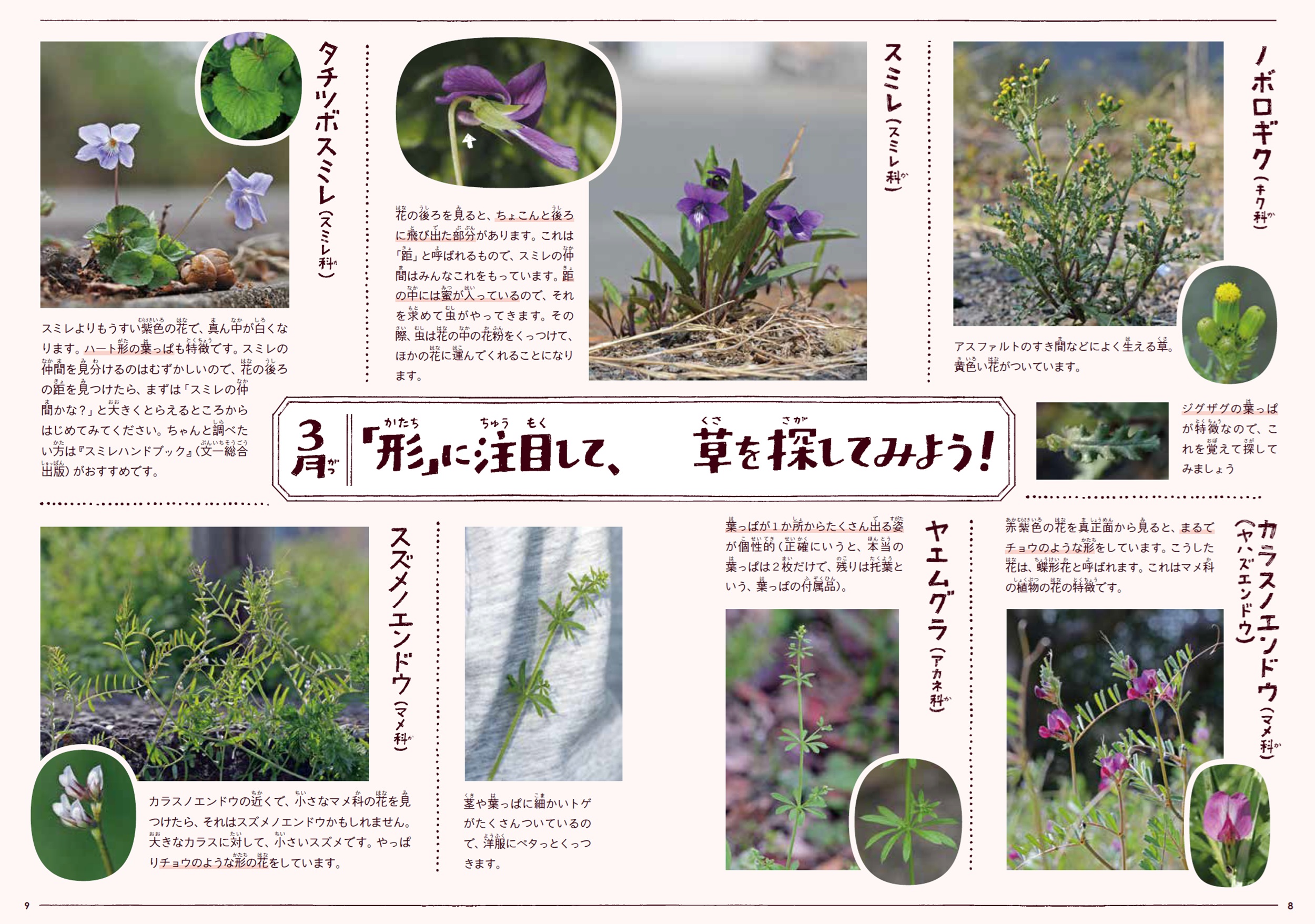 サムネイル画像7