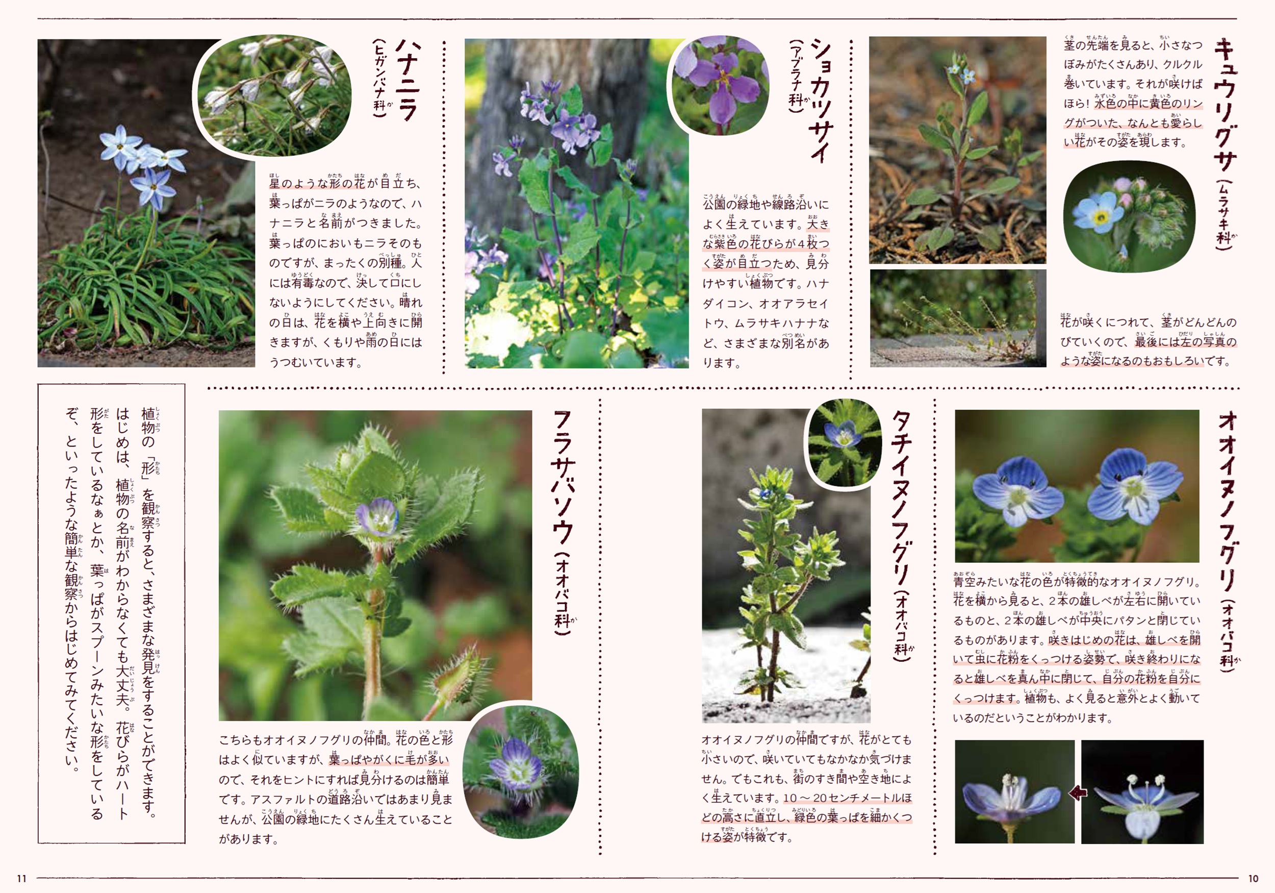 サムネイル画像8