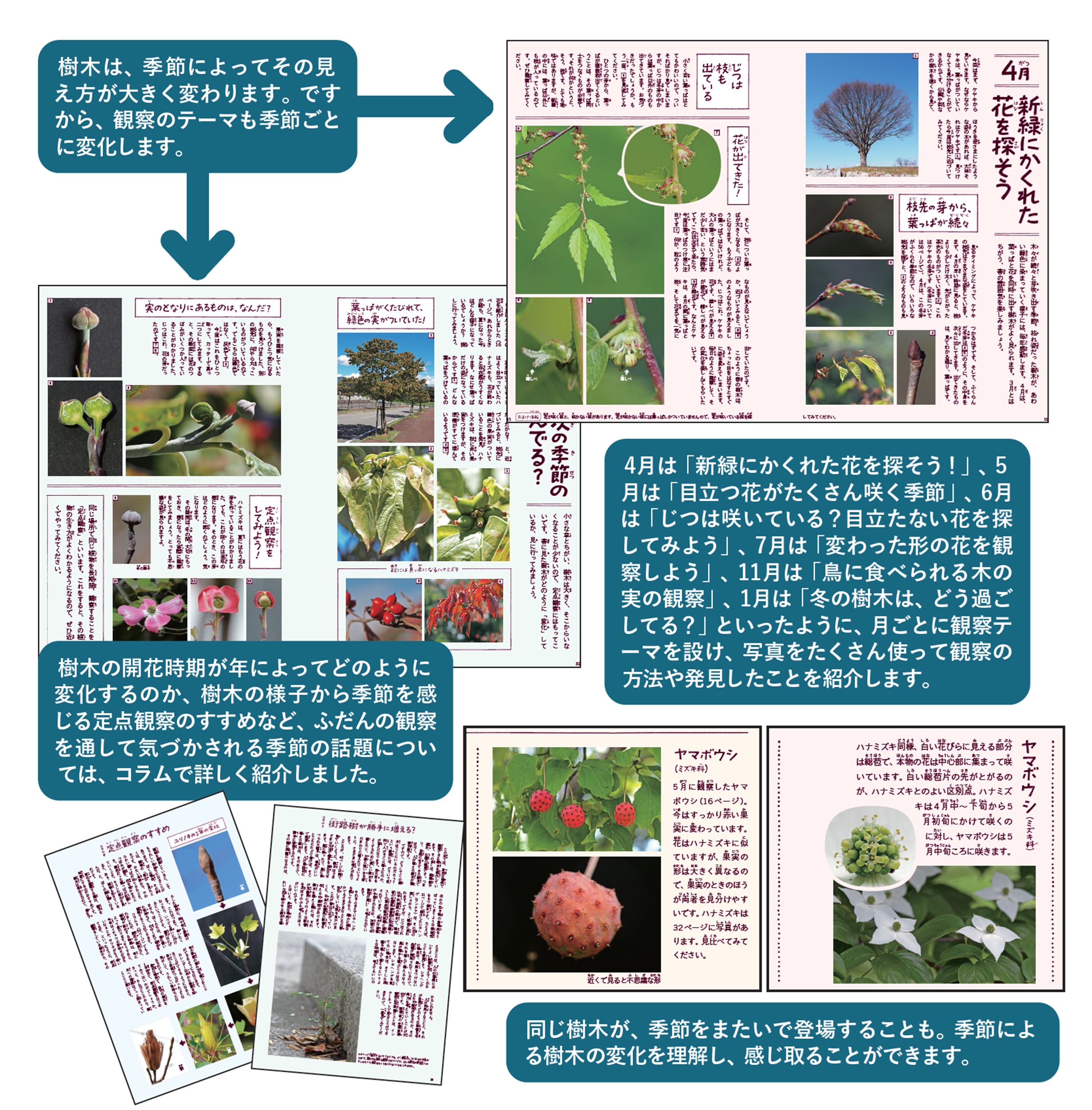 サムネイル画像2