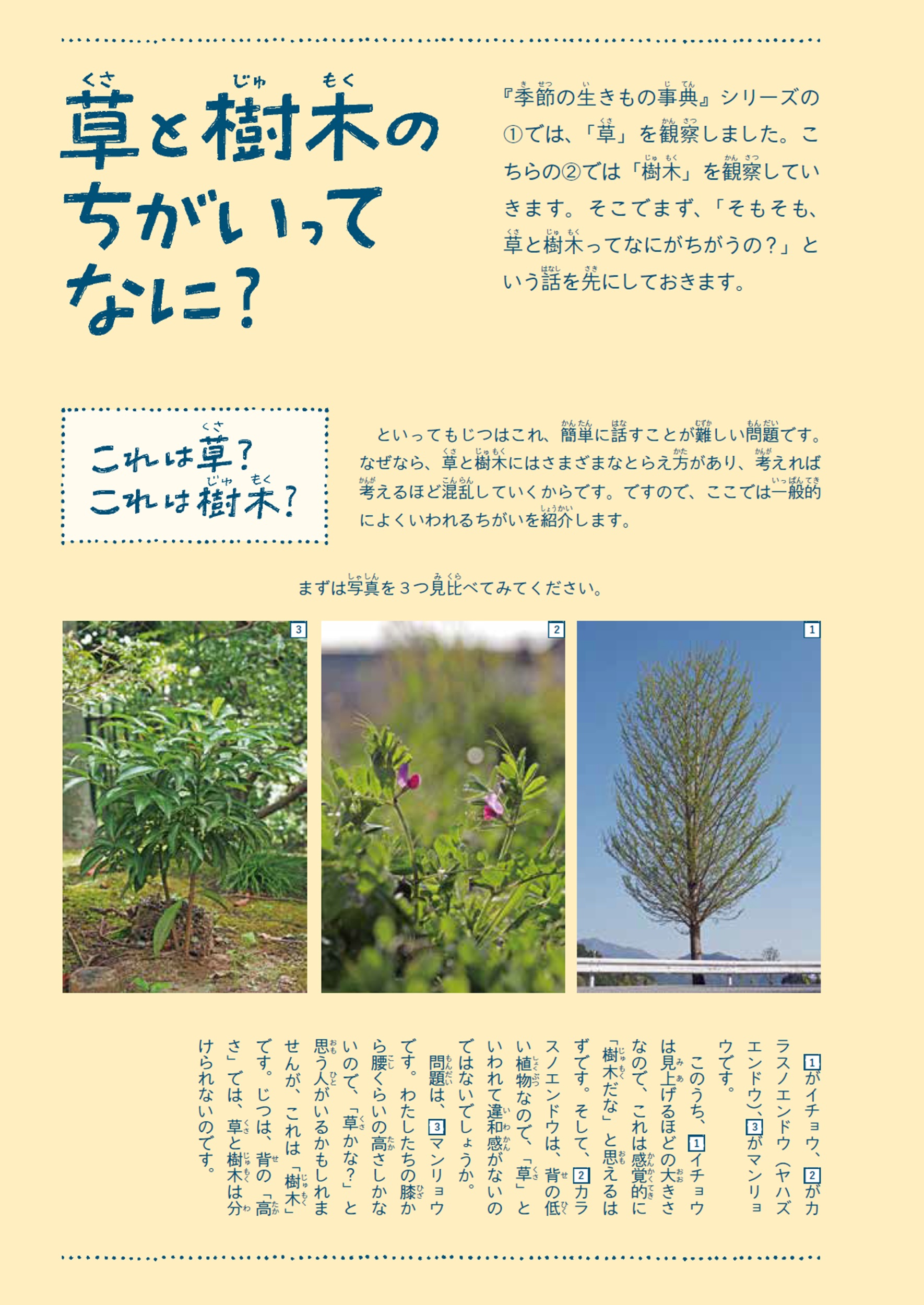 サムネイル画像3