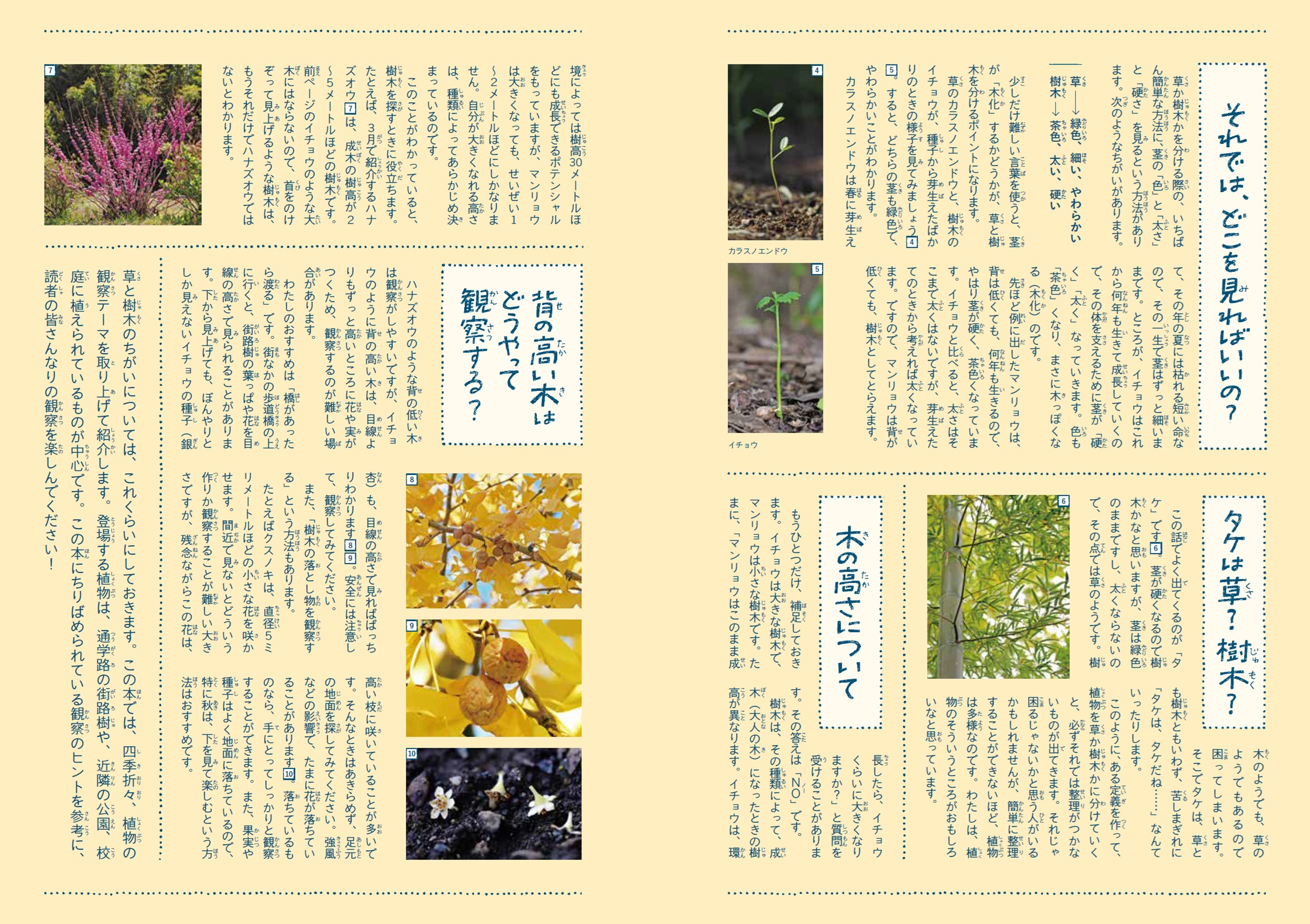 サムネイル画像4