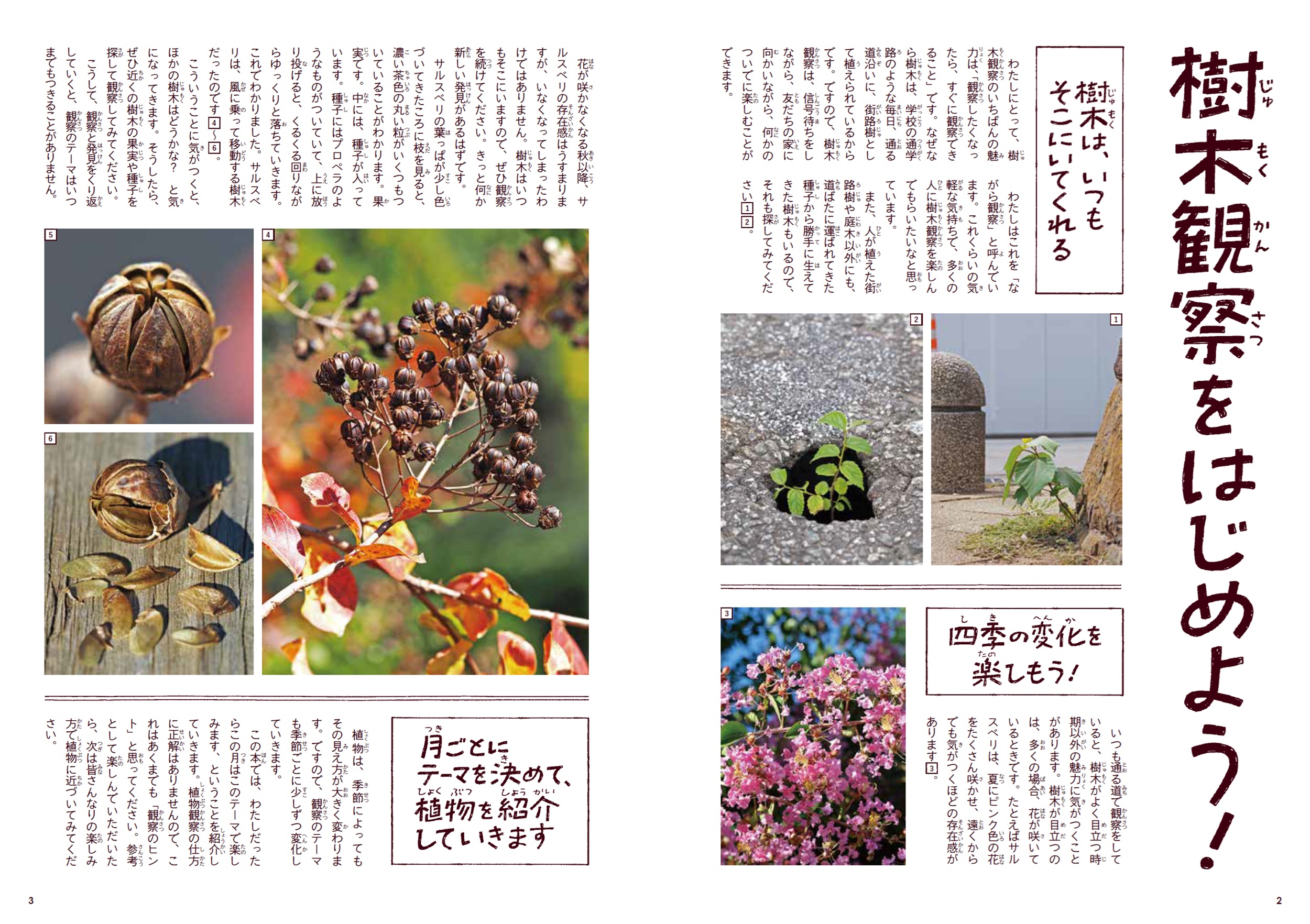 サムネイル画像6