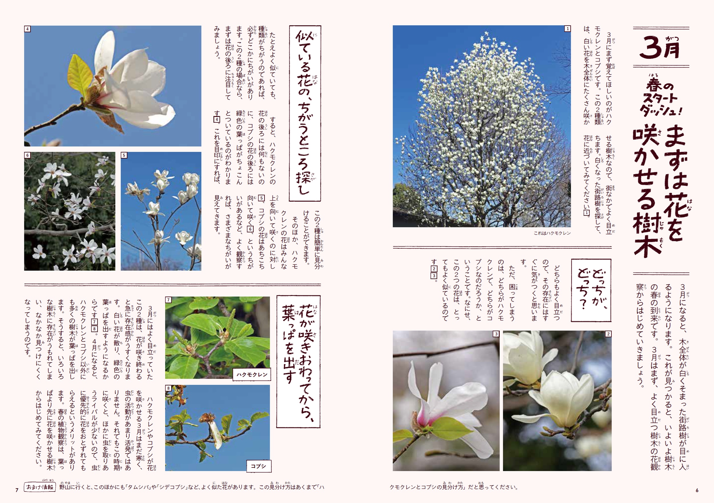 サムネイル画像8