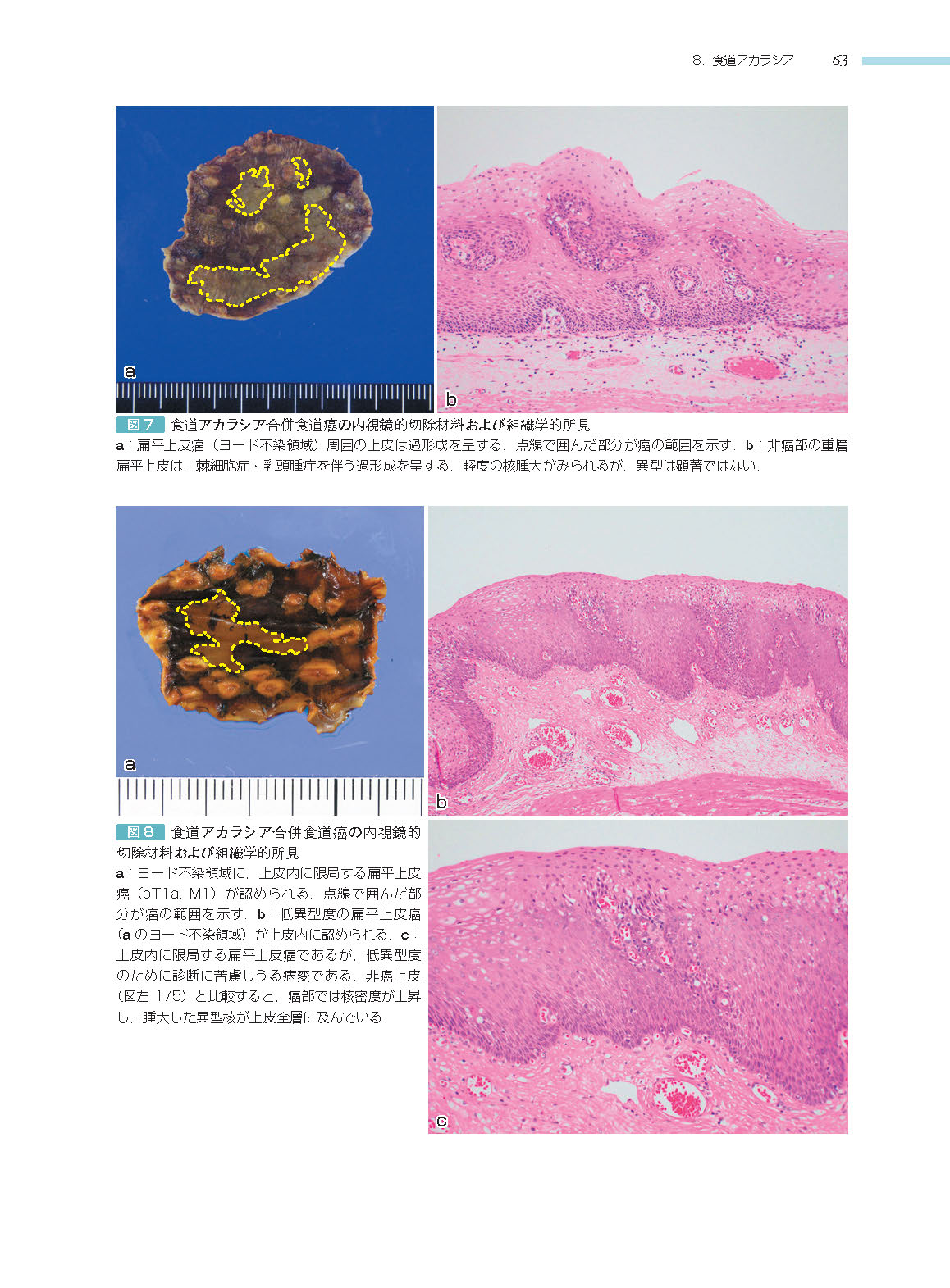 サムネイル画像5