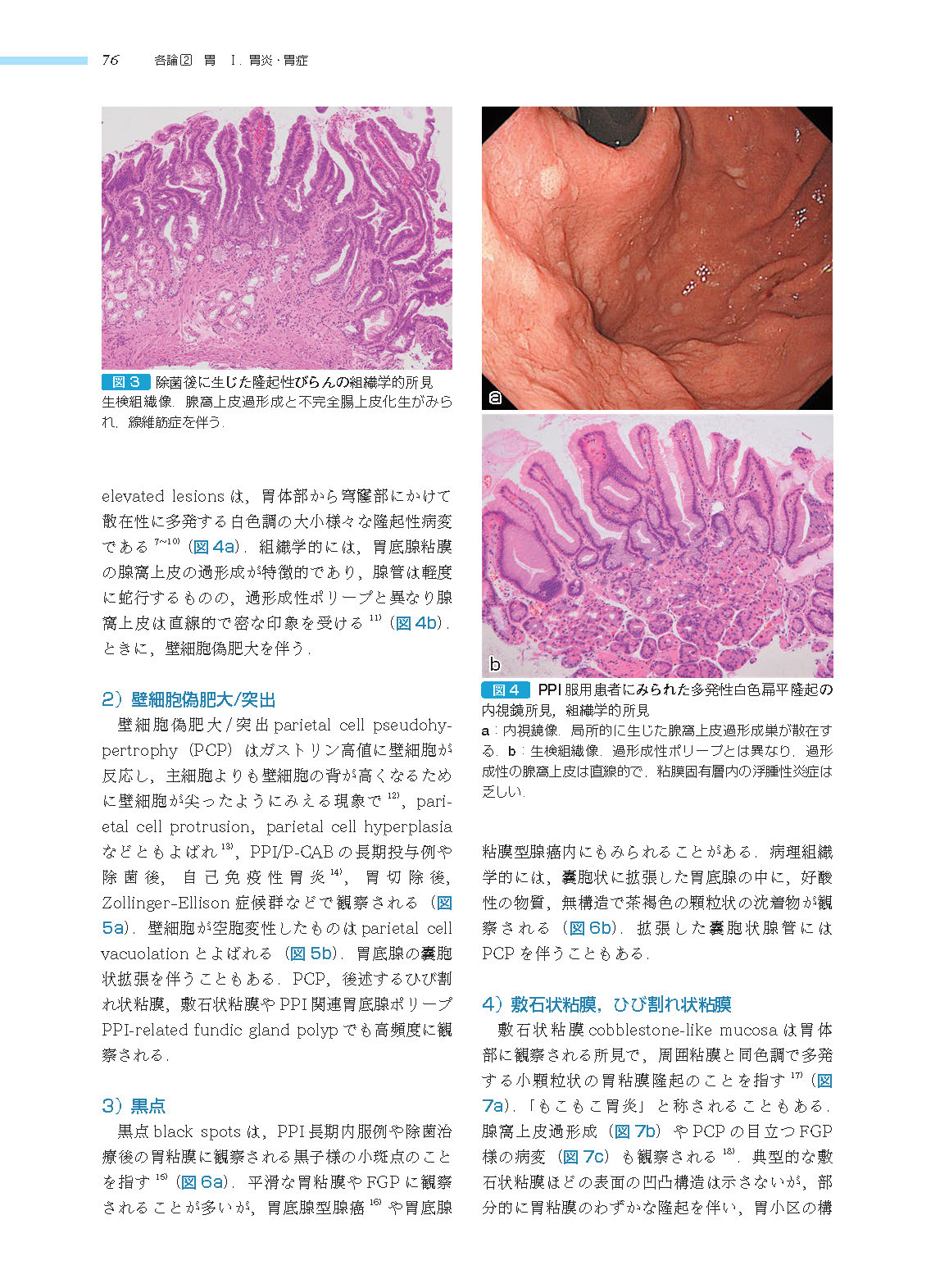 サムネイル画像6