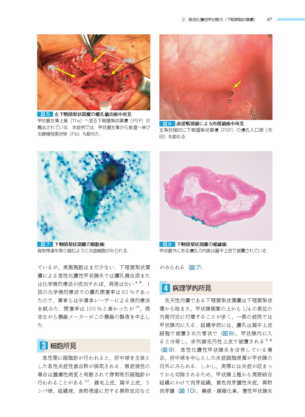 サムネイル画像7