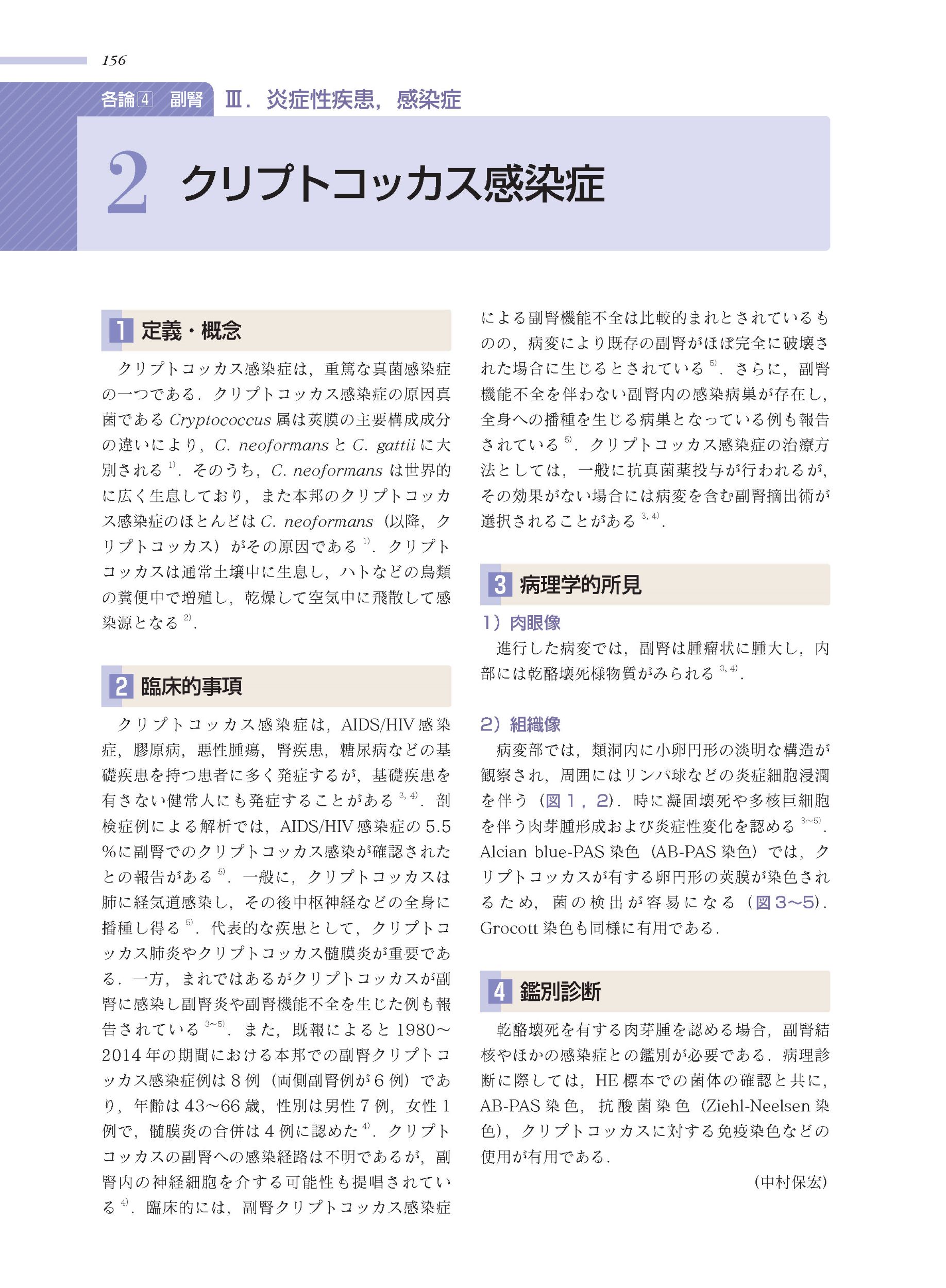 サムネイル画像9