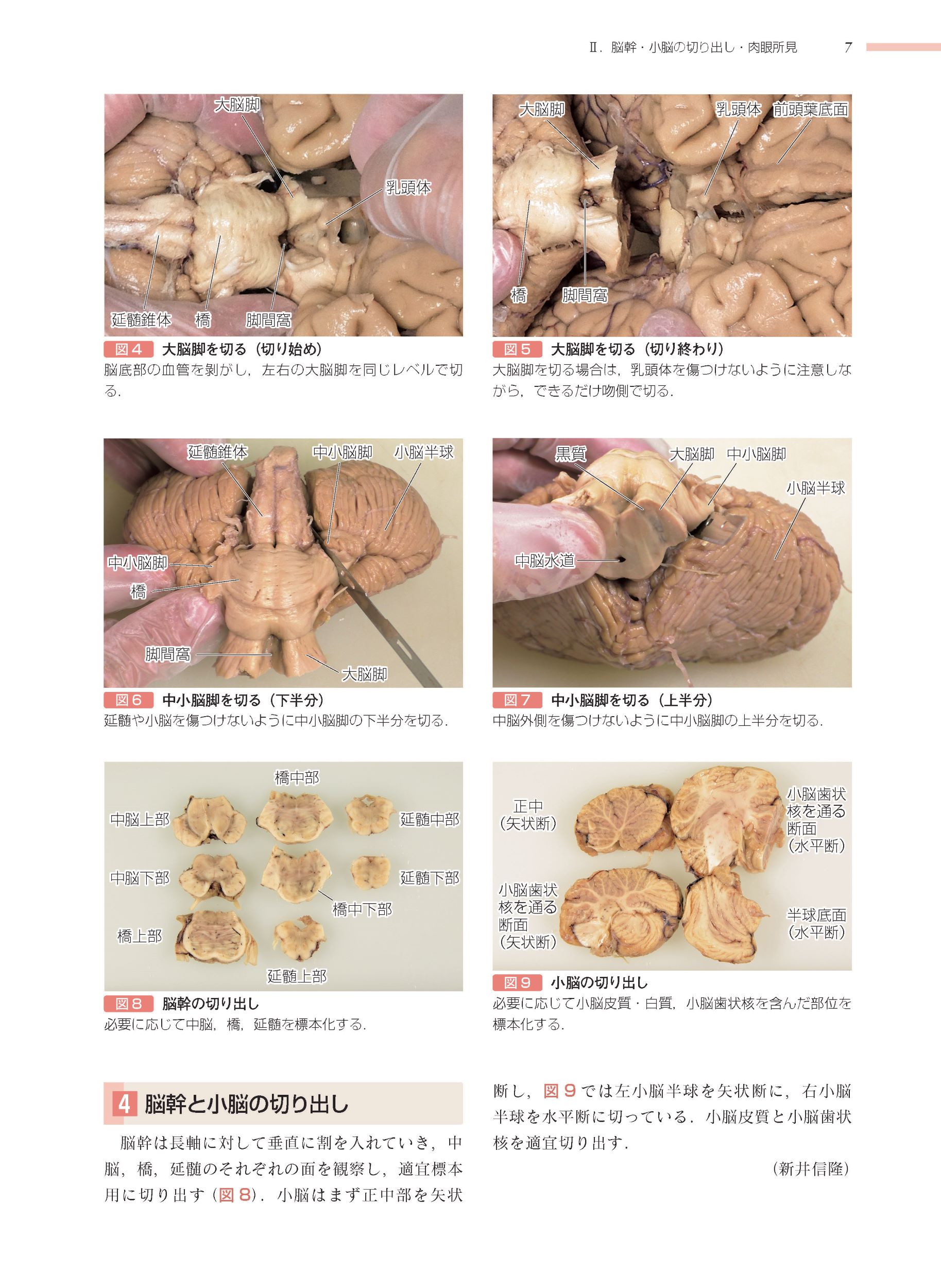 サムネイル画像3