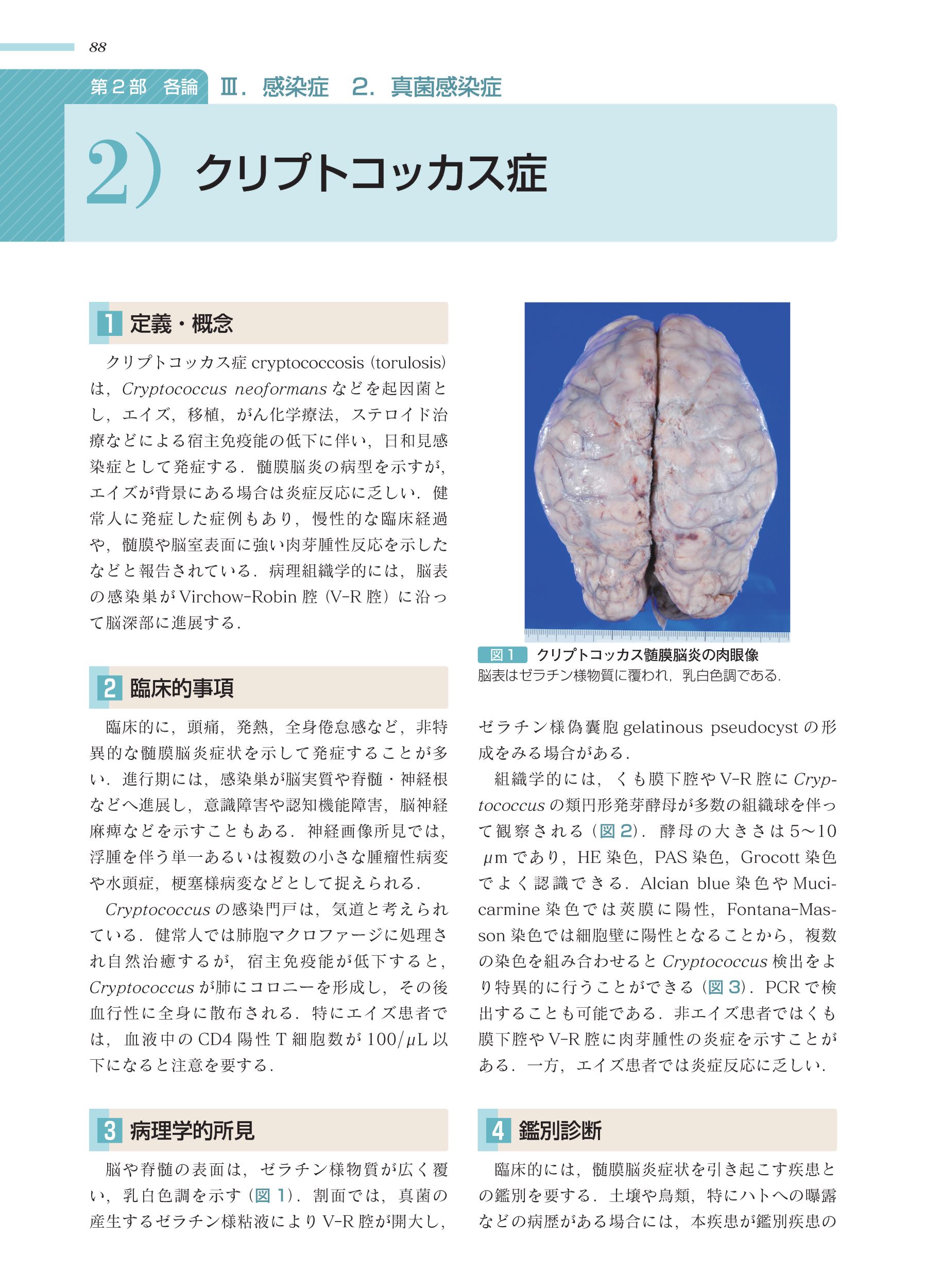 サムネイル画像6
