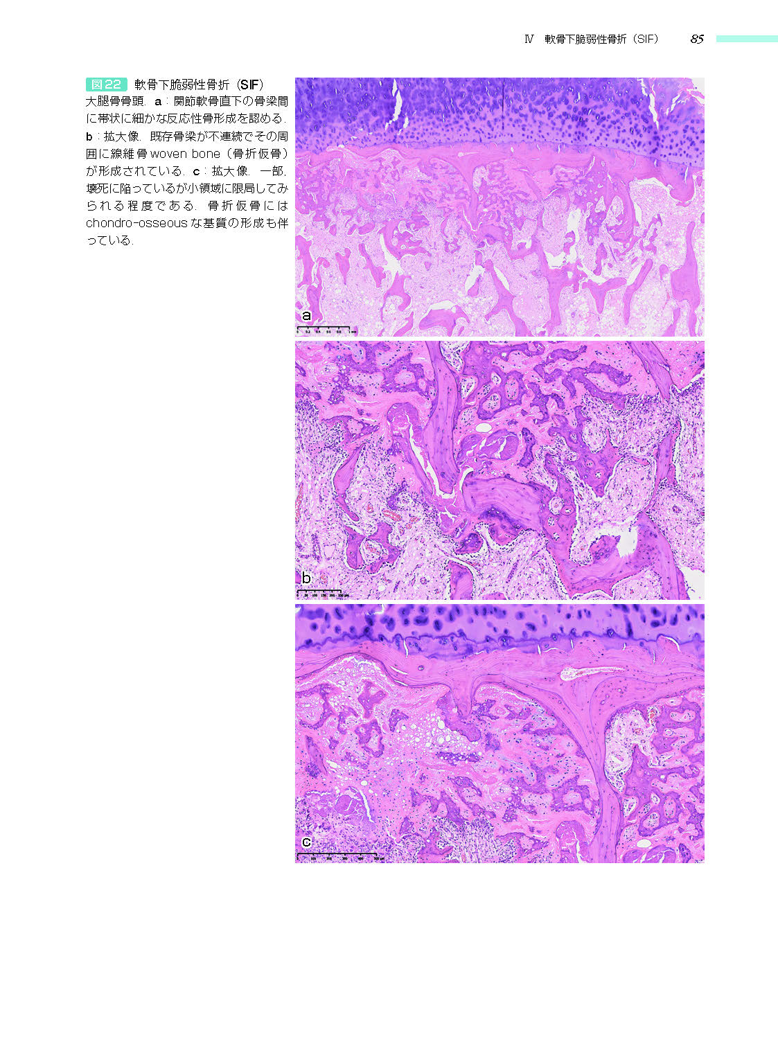 サムネイル画像4