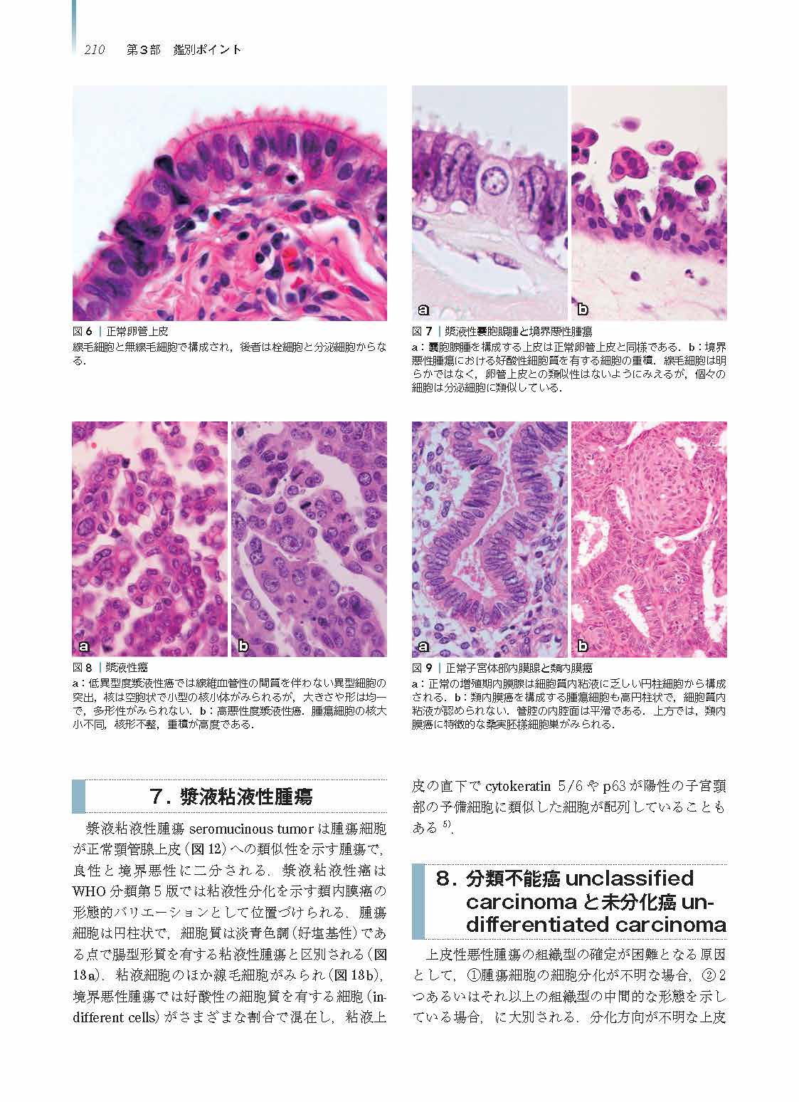 サムネイル画像6