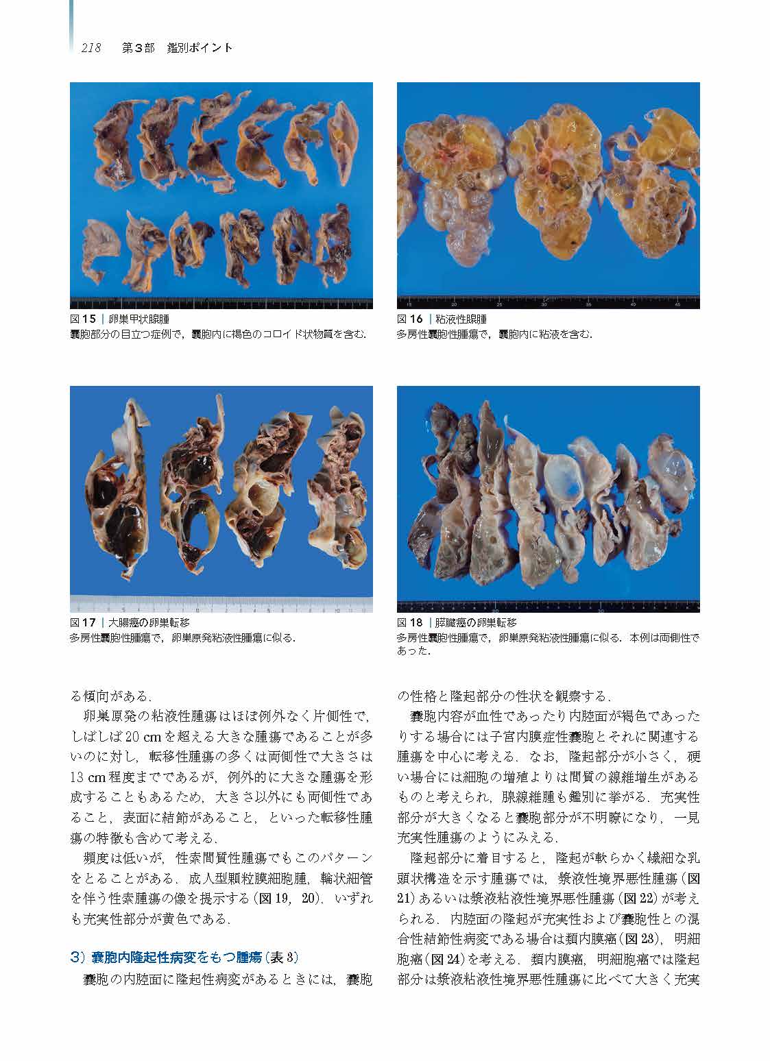 サムネイル画像8