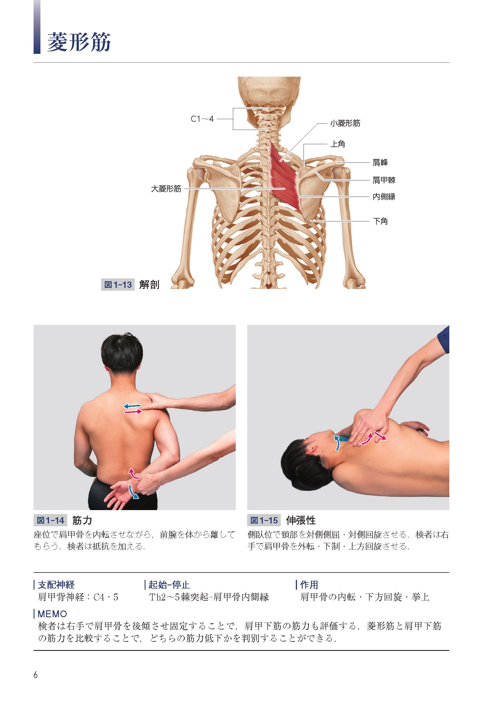 サムネイル画像1