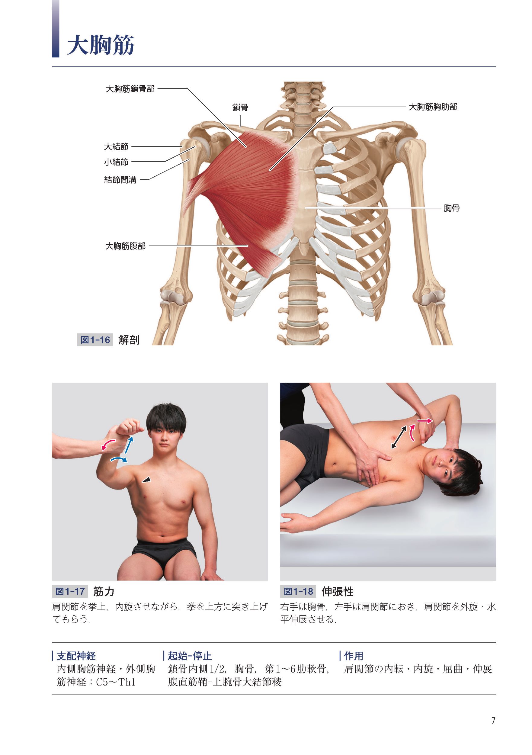 サムネイル画像2