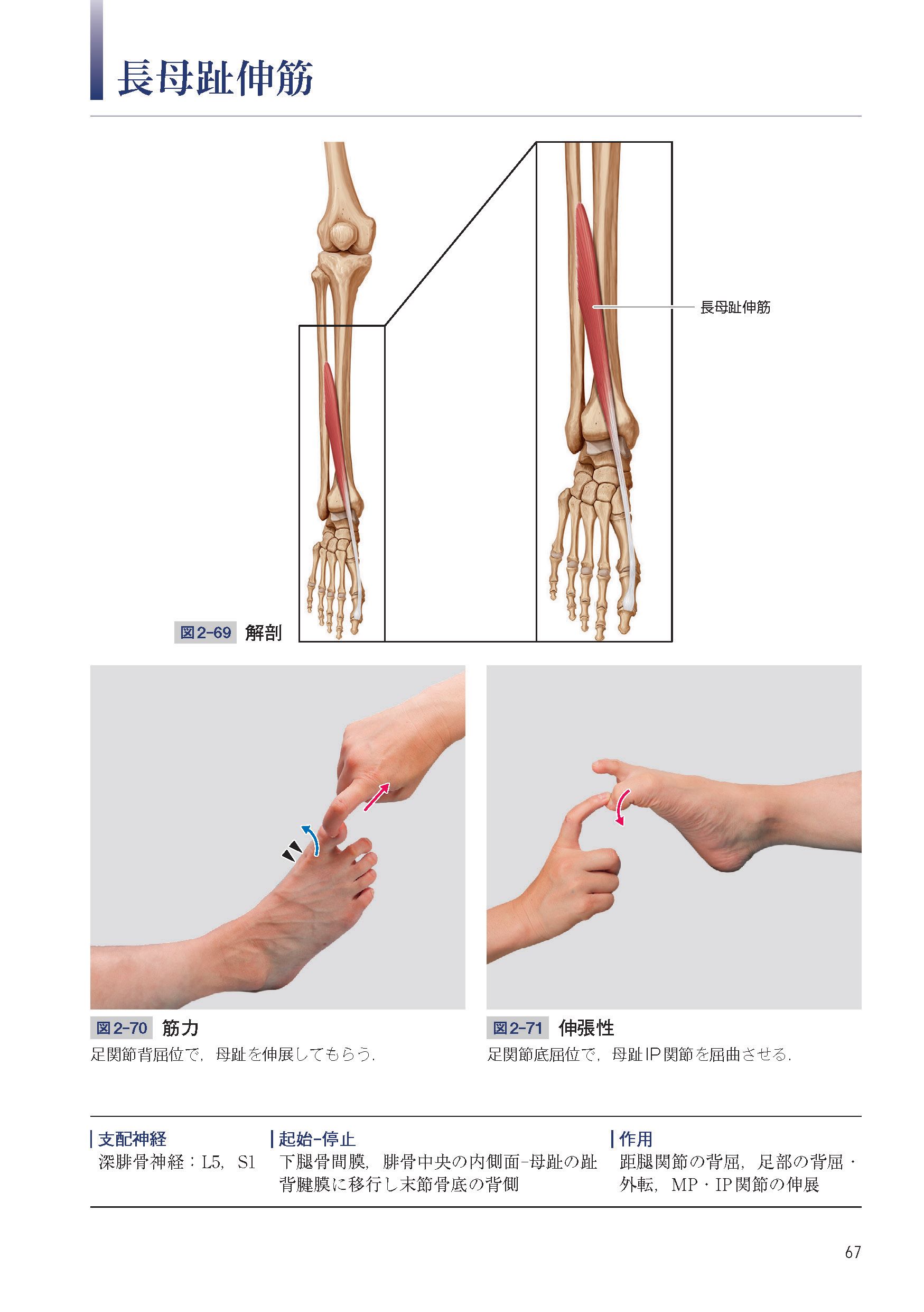 サムネイル画像4