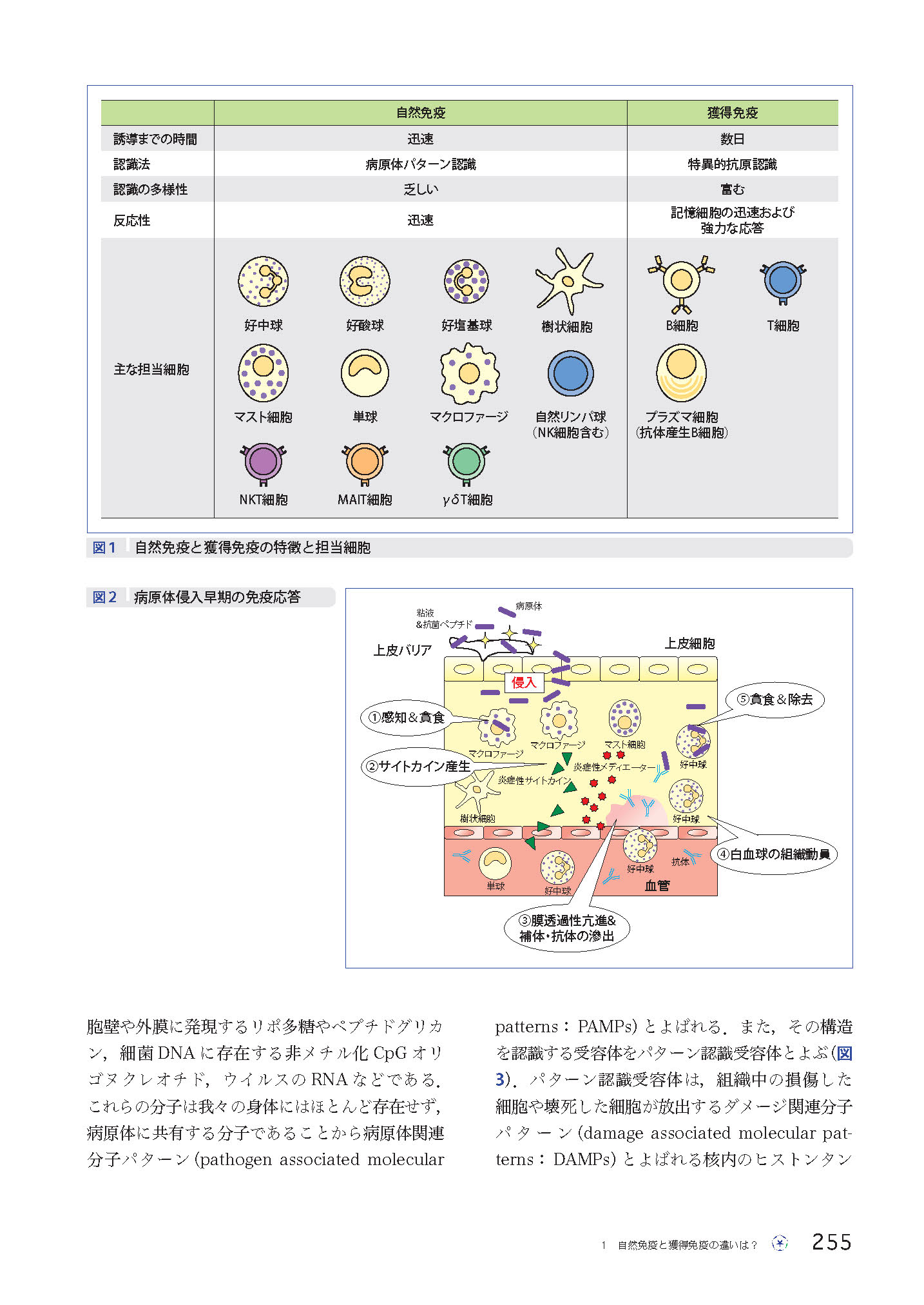 サムネイル画像9
