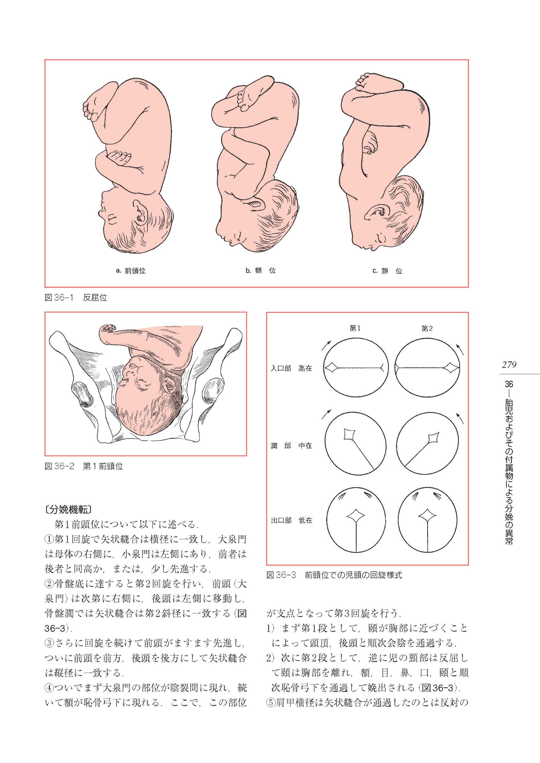 サムネイル画像4