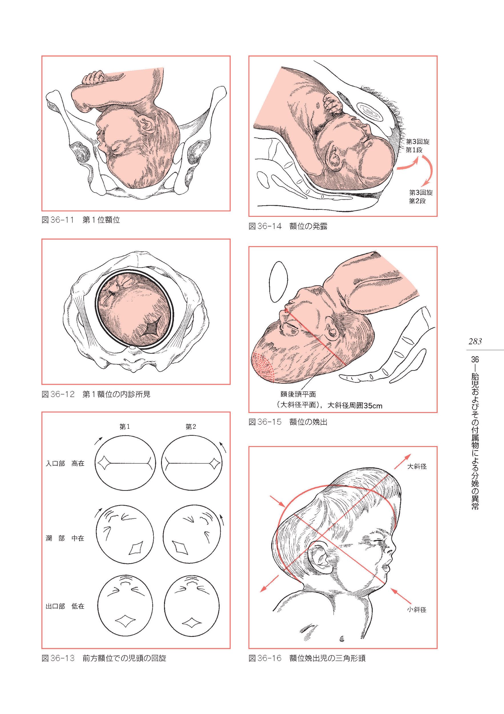サムネイル画像6