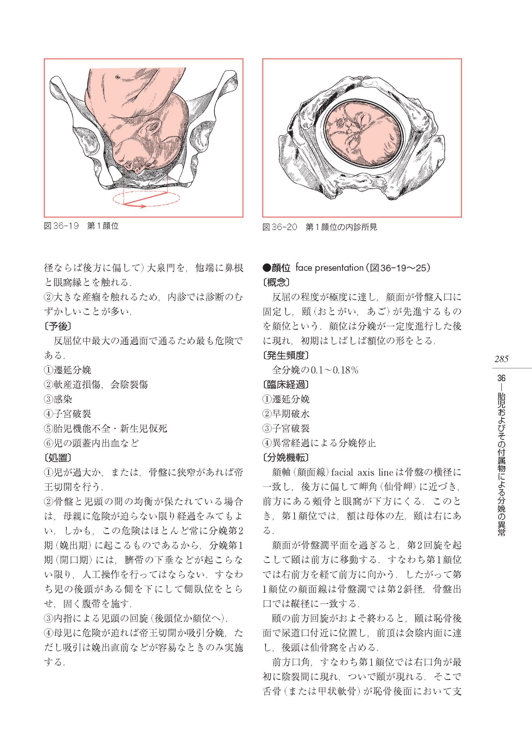 サムネイル画像8