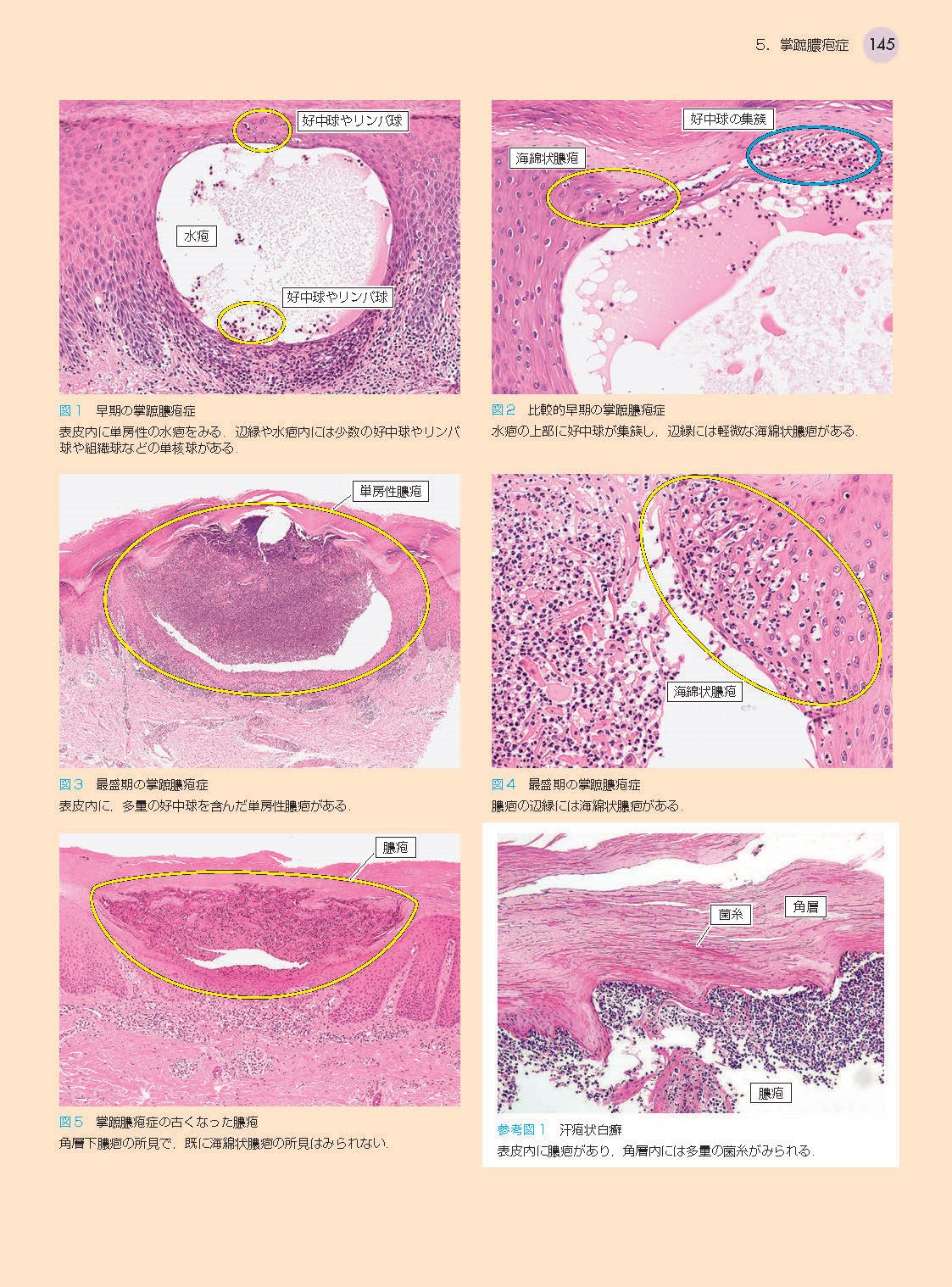 サムネイル画像5