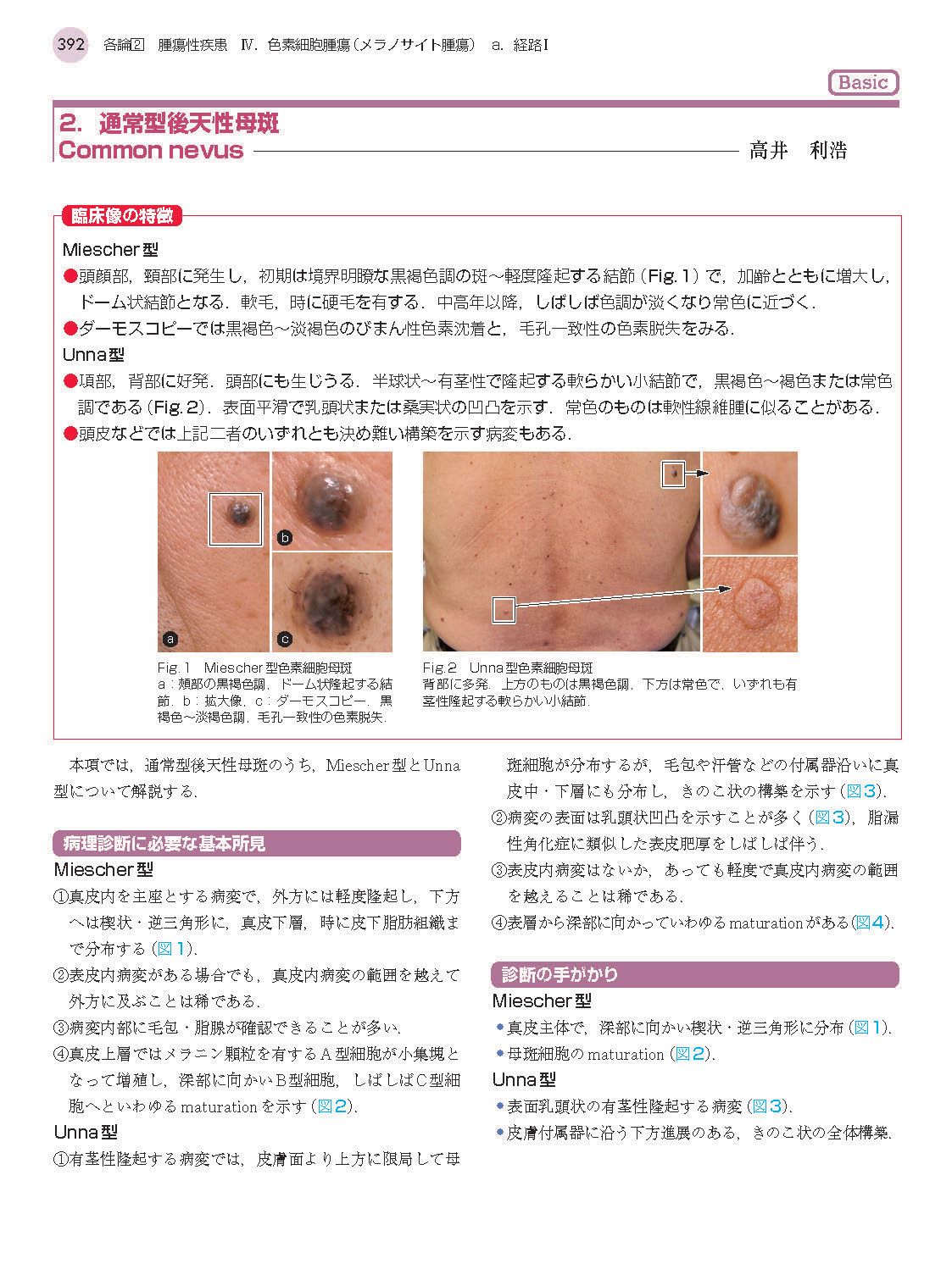 サムネイル画像8
