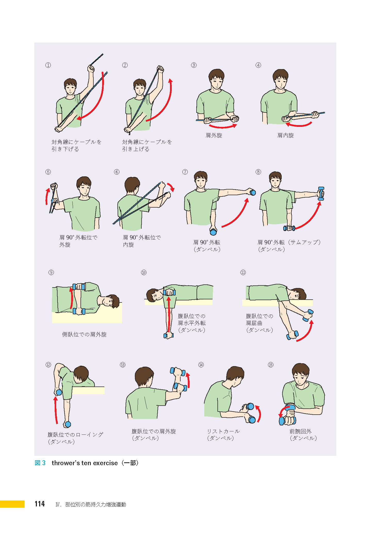サムネイル画像6
