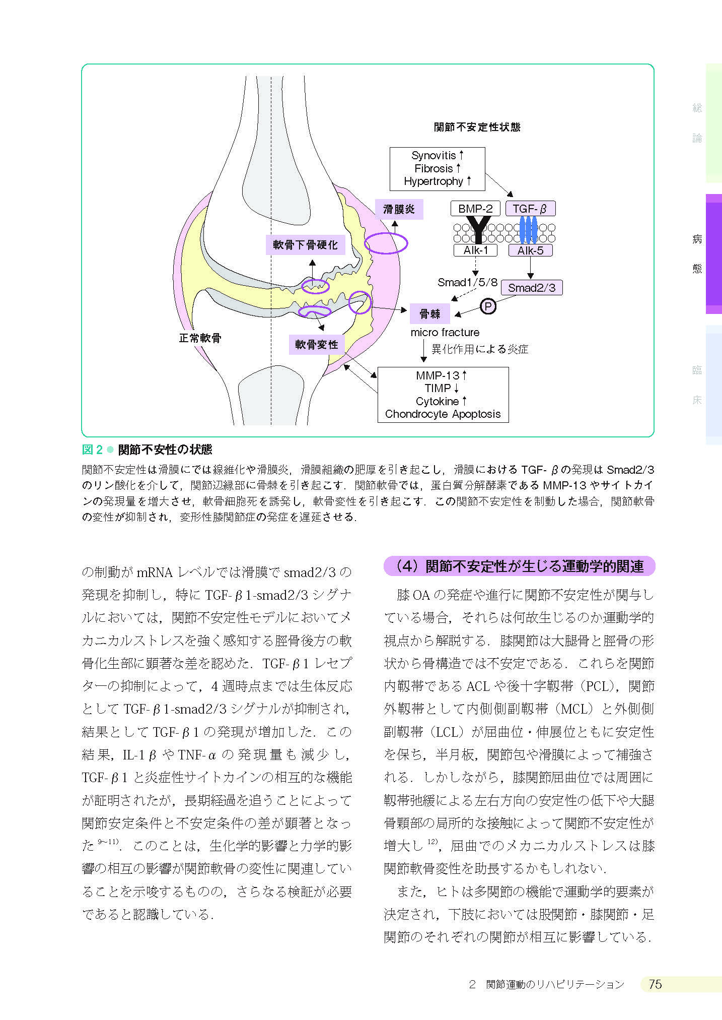 サムネイル画像5
