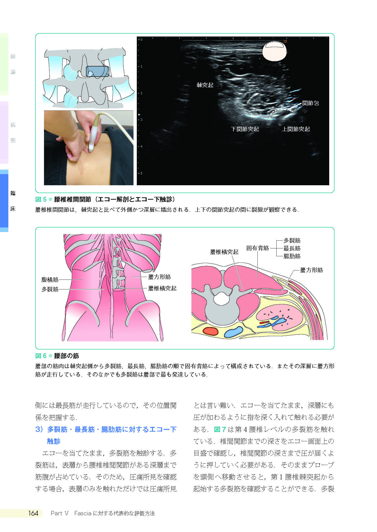 サムネイル画像8