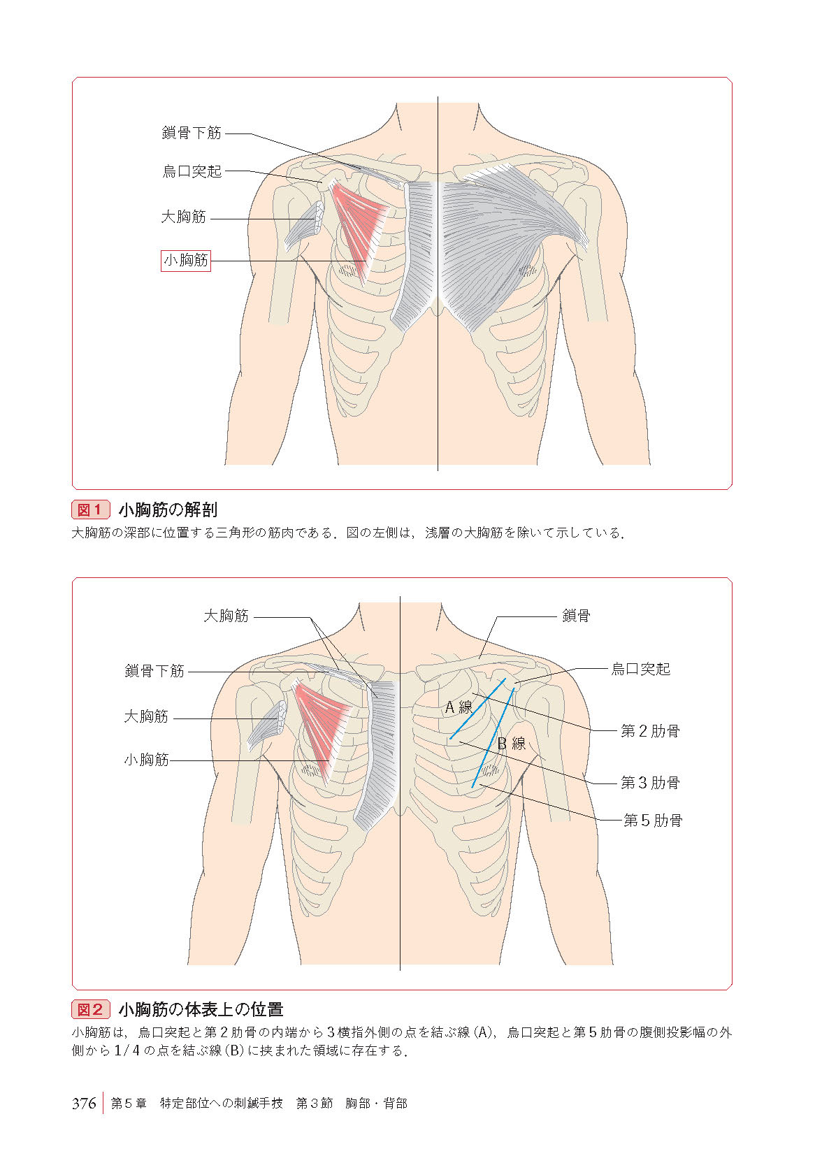 サムネイル画像7