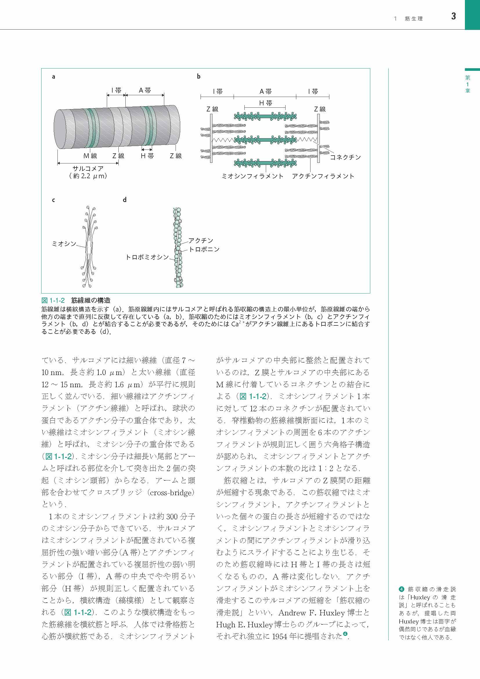 サムネイル画像3