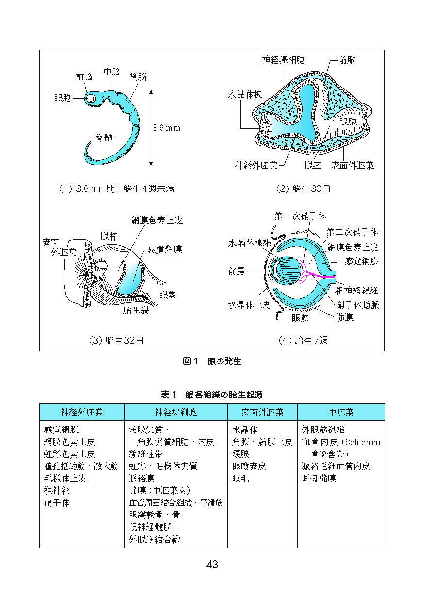サムネイル画像5