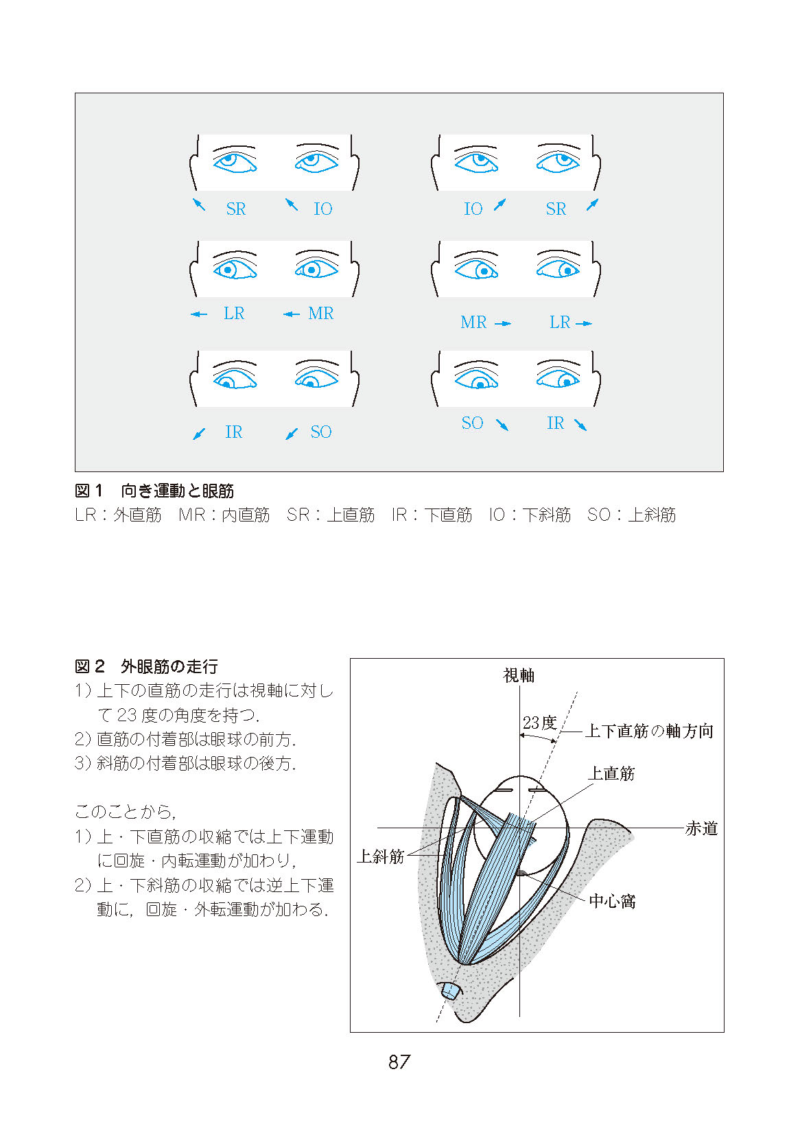 サムネイル画像7