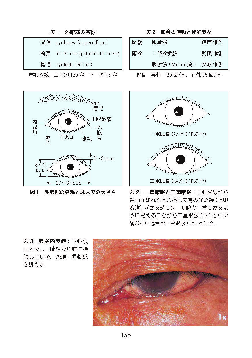 サムネイル画像9