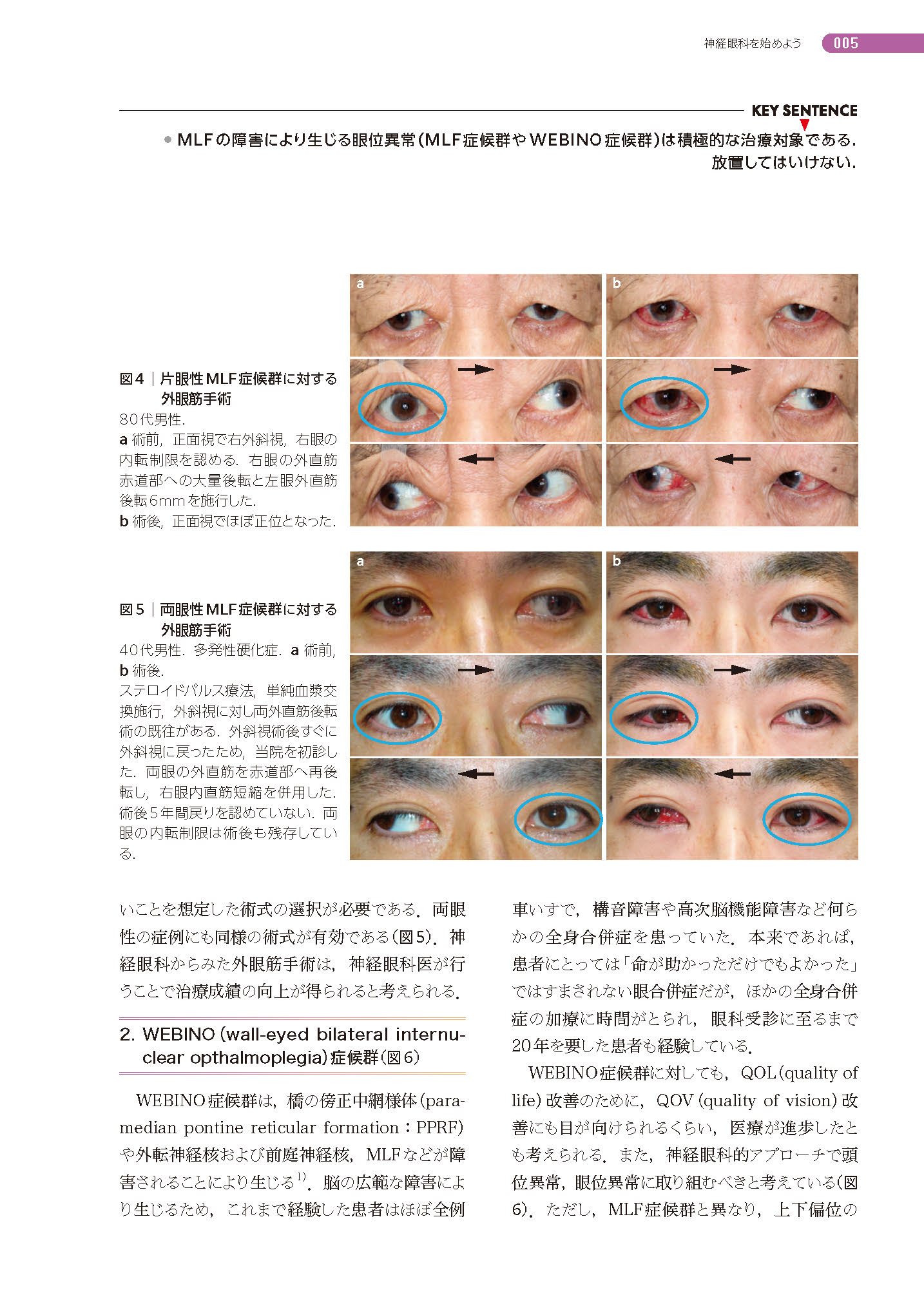 サムネイル画像5